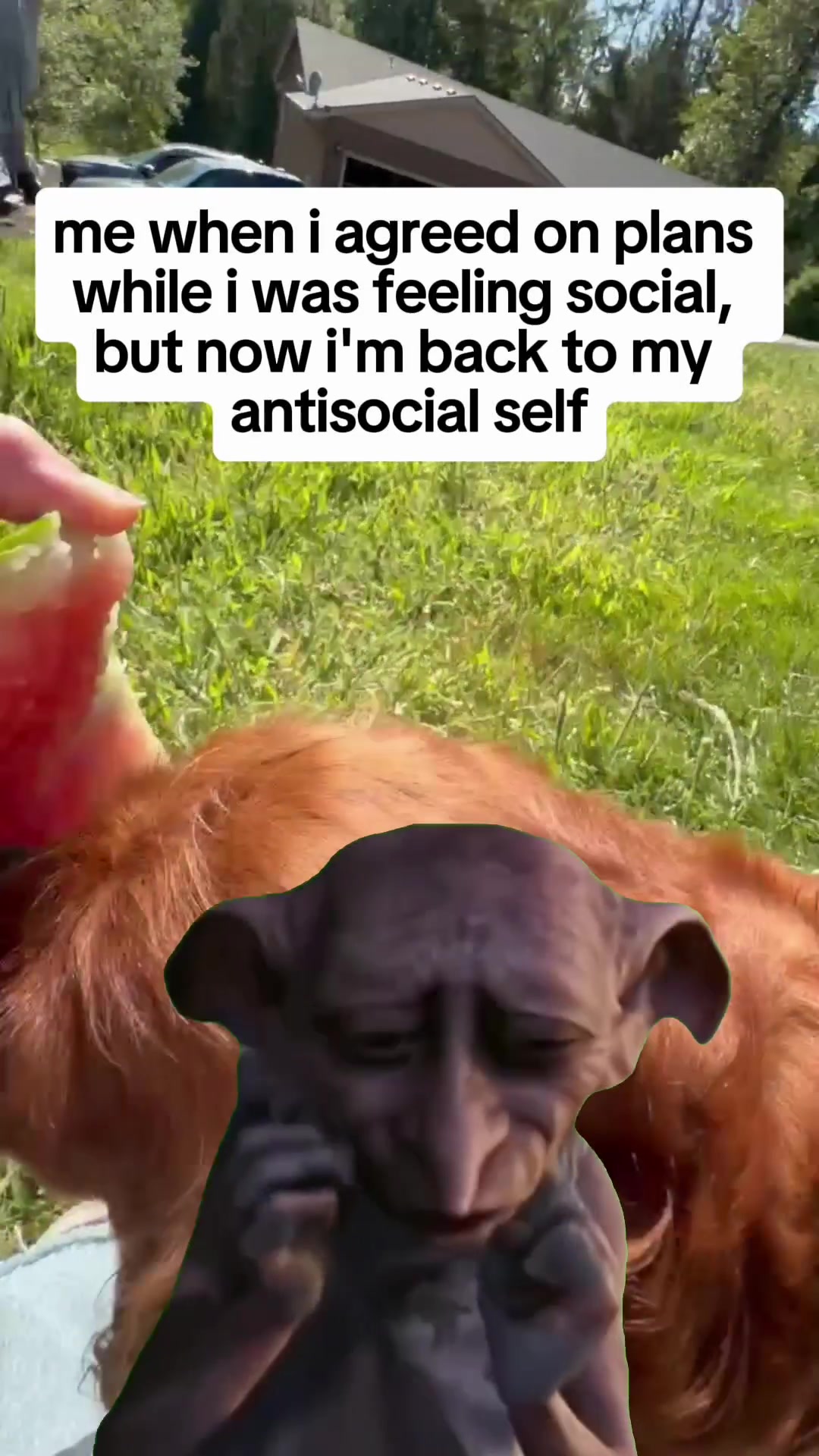 @Danielle L