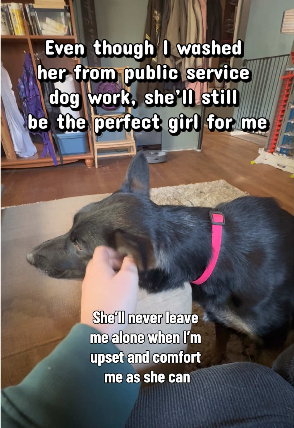 @potsiewithdogs