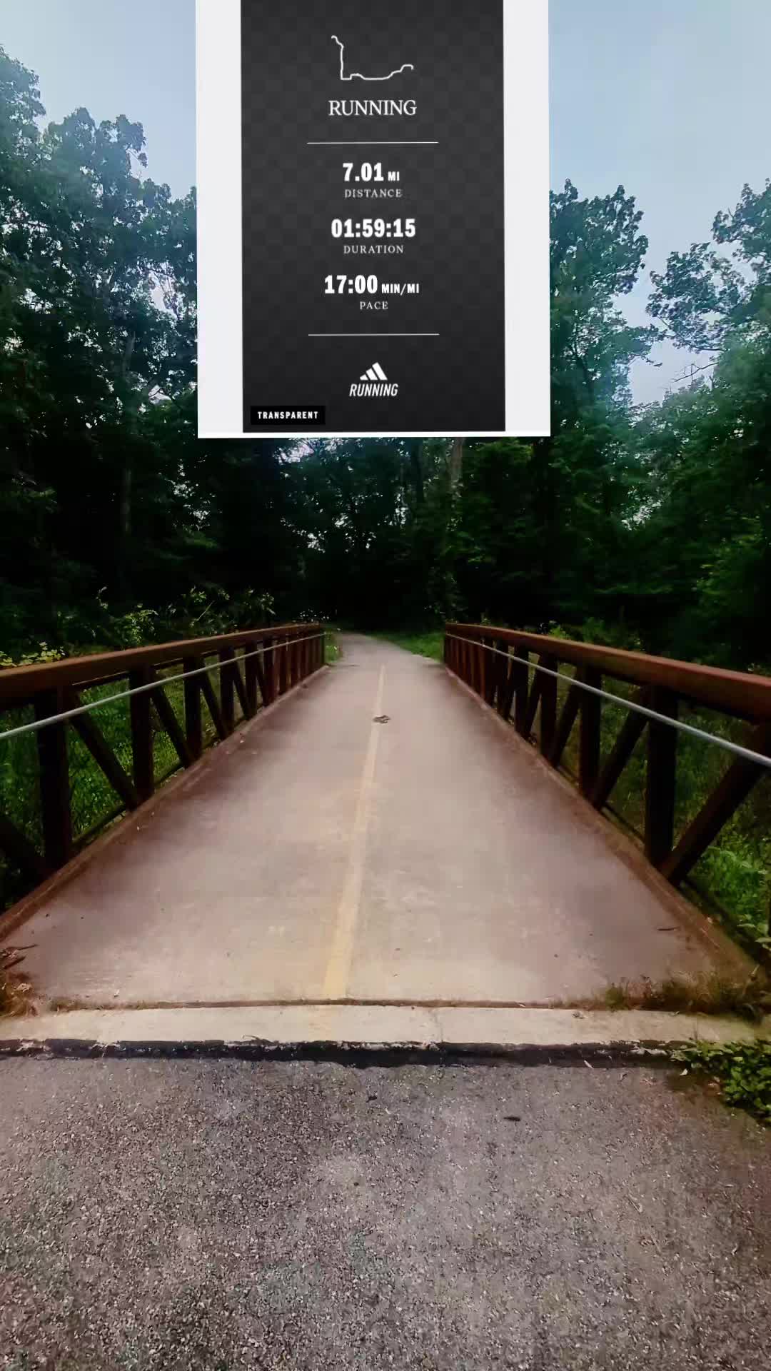 @FREDDiE 404