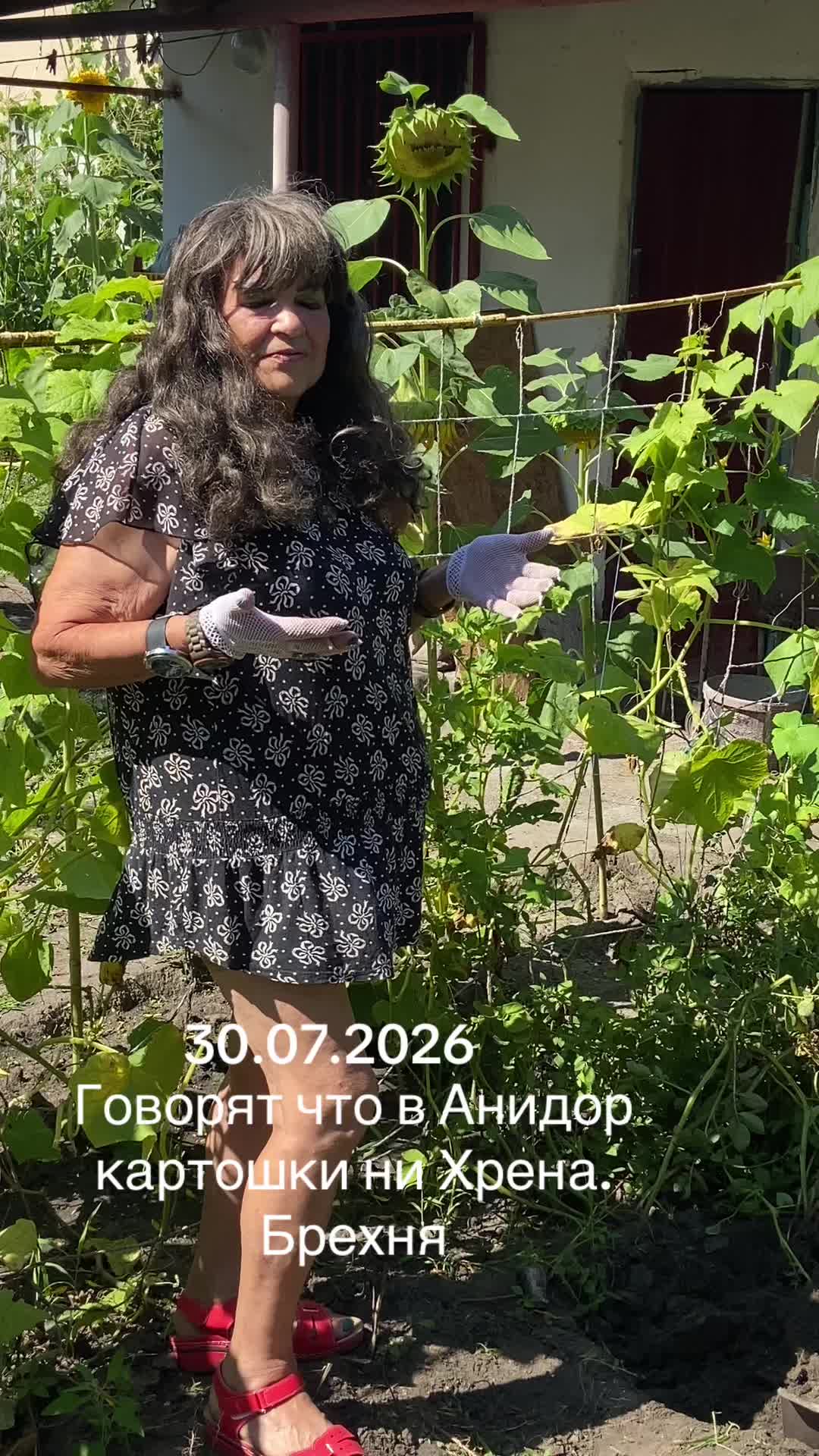 @anidor44