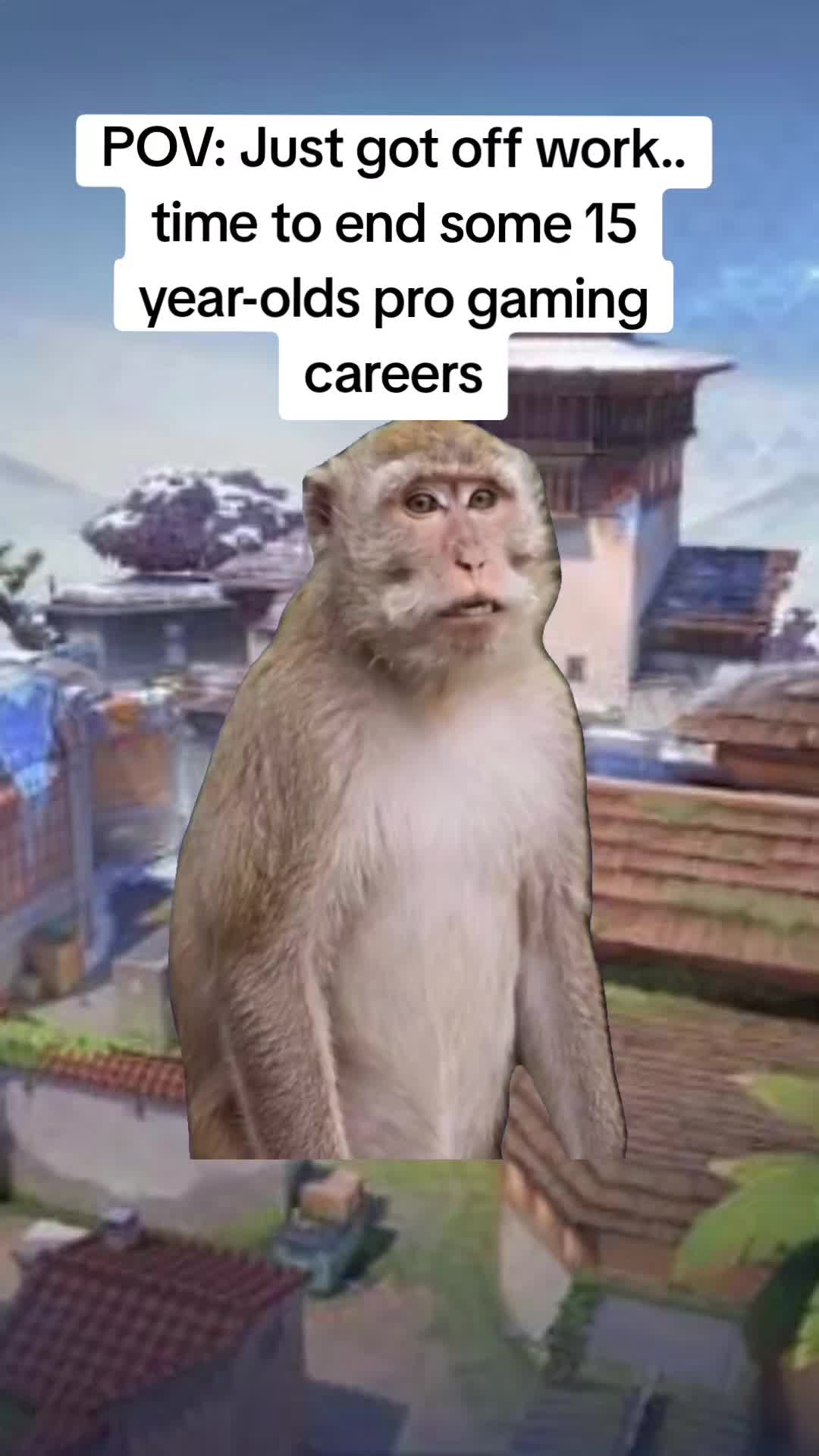 @Scoobydouby
