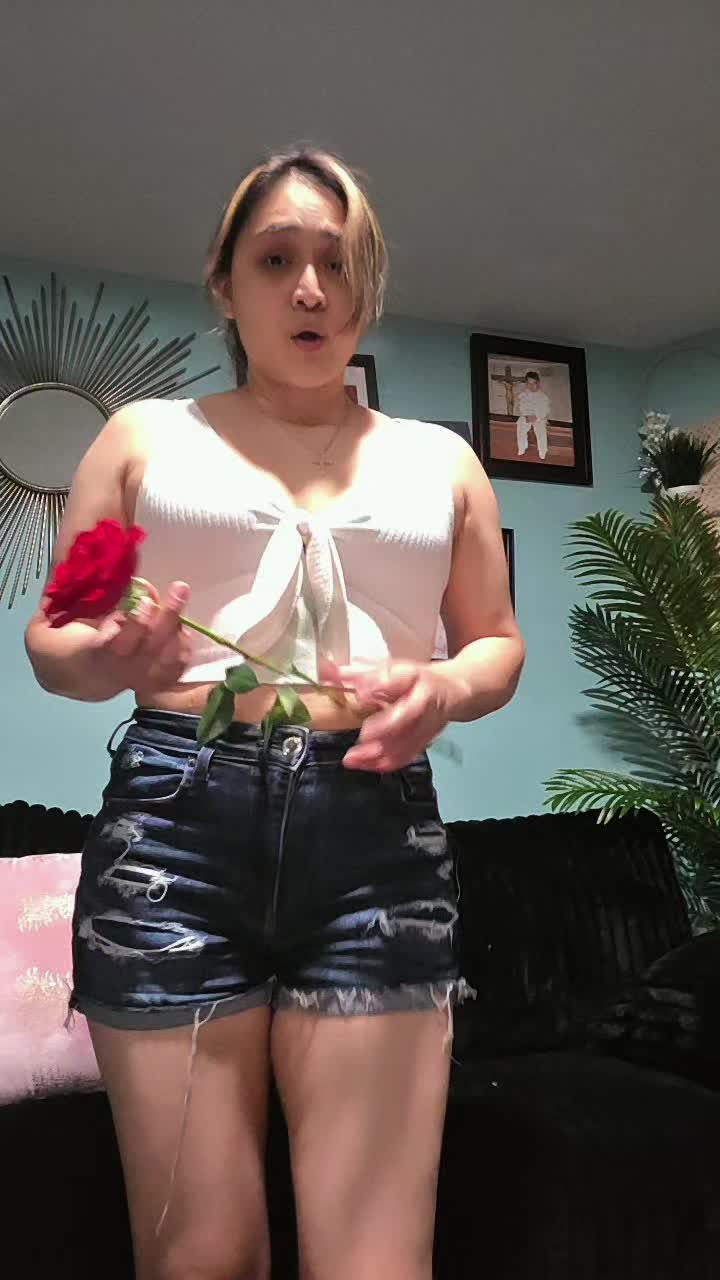 @︎꧁☆❀℉𝕒𝕥iм𝕒❀🥀🐢☆꧂