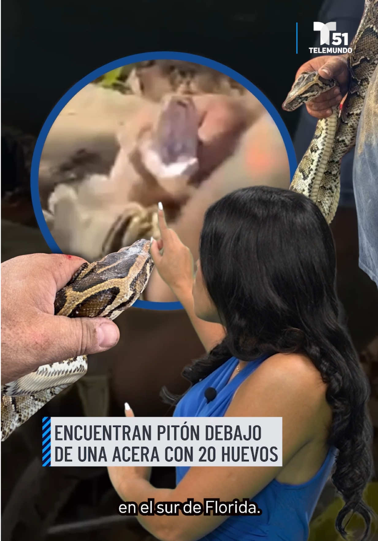 @Telemundo51Miami
