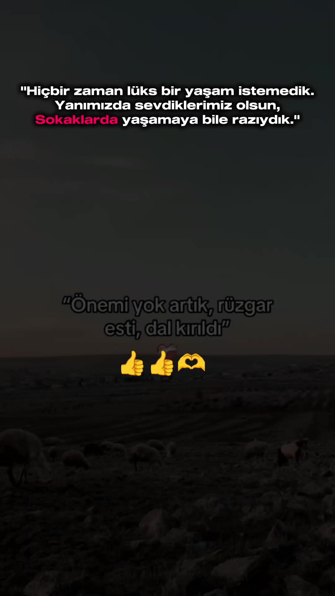 @Aslan derler2763