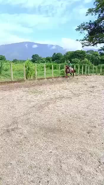 @JOSÉ DAVID