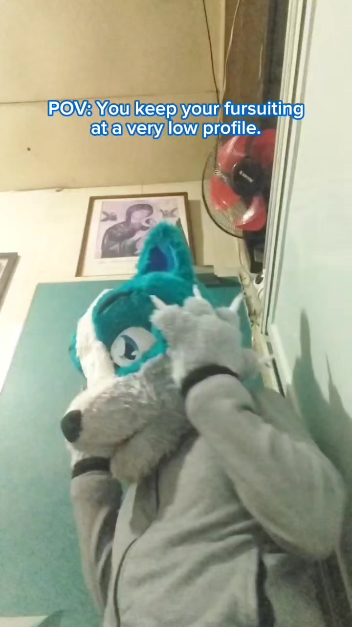 @FXBR