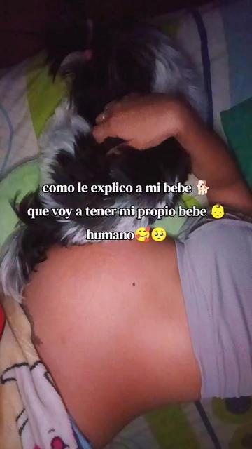 @Soysheilasmith