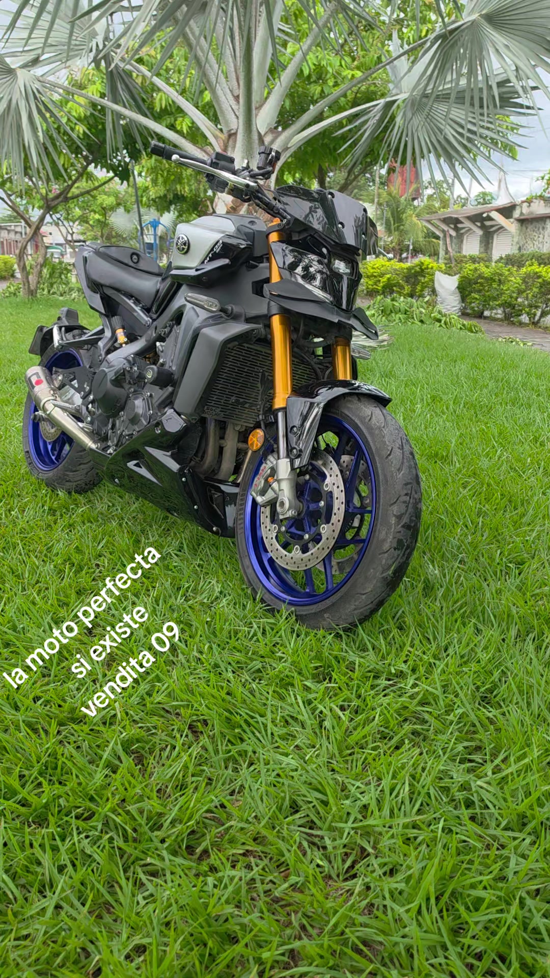 @bilderalfaro