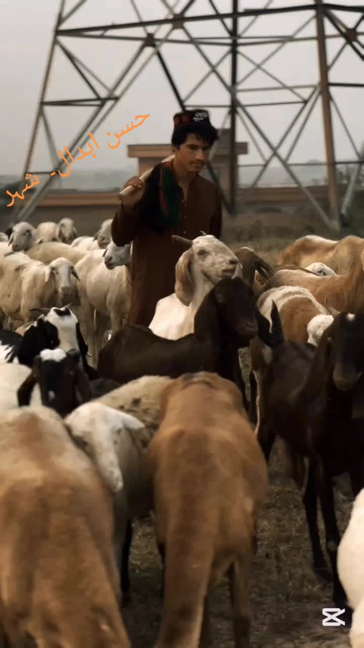 @Naimatkhan boxer 🥊🇦🇫