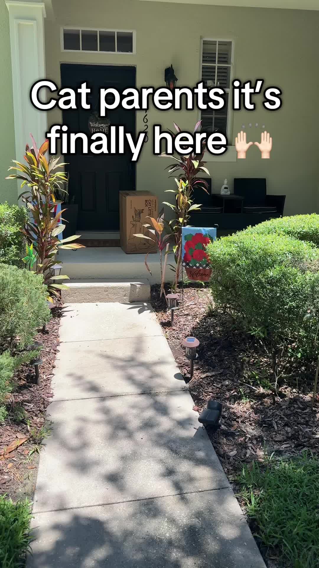 @Christopher_Finds
