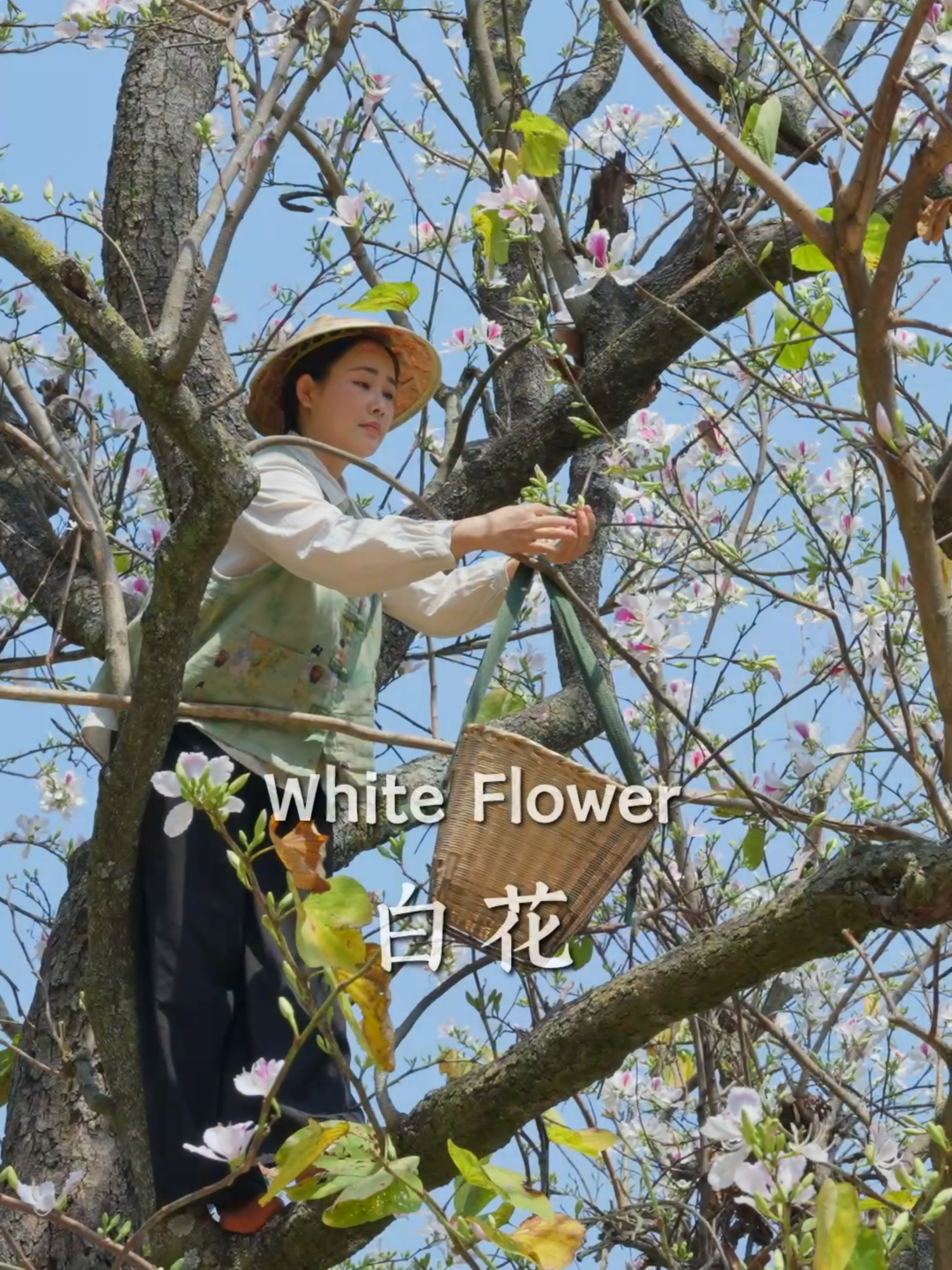 @滇西小哥 Dianxixiaoge