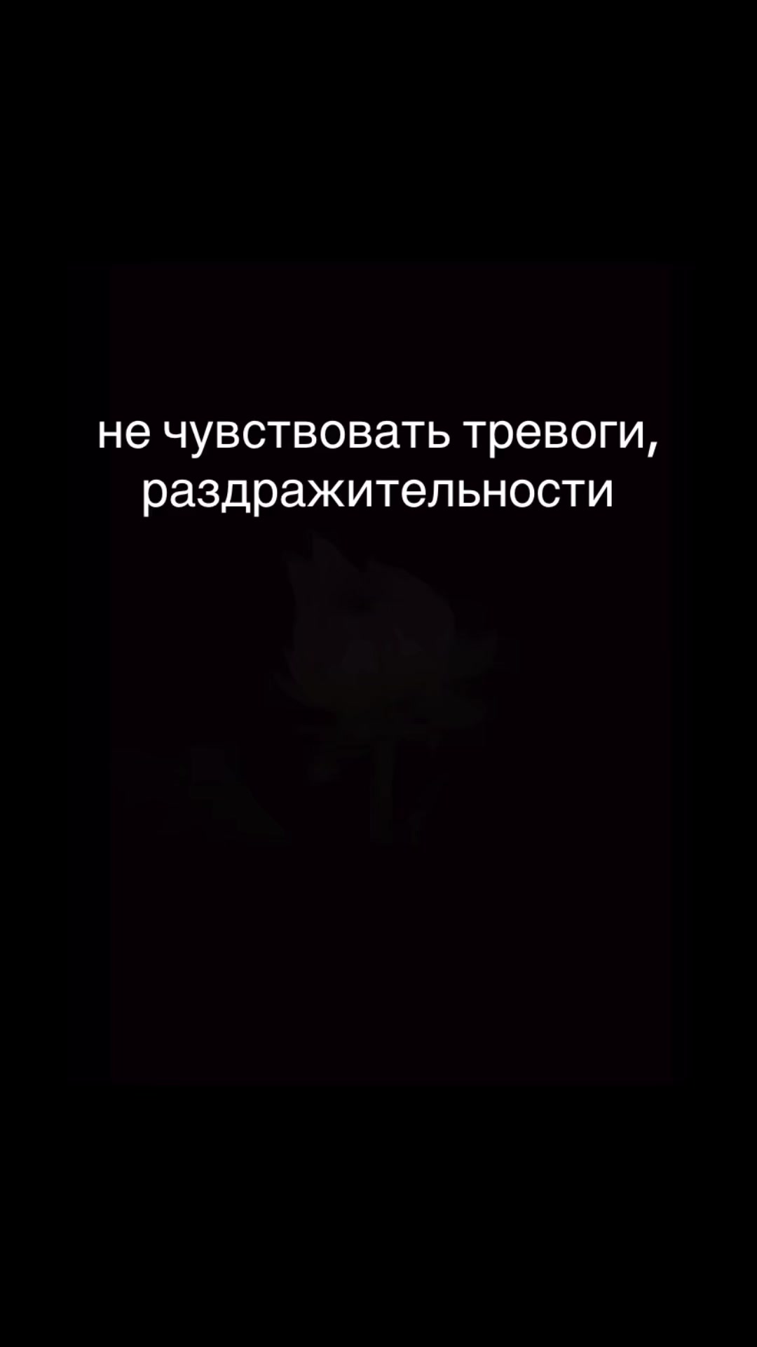@platinum_fool