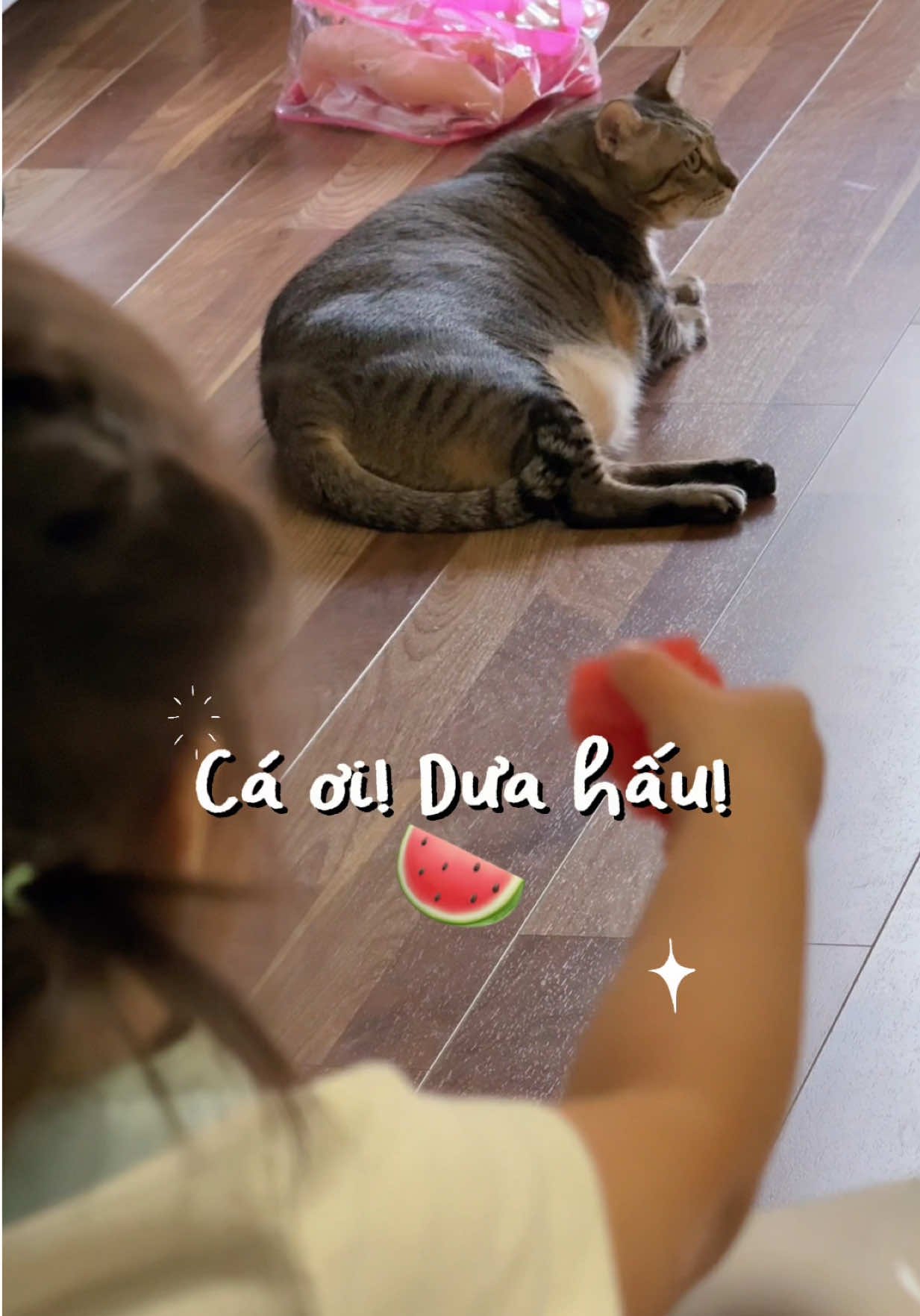 @Gia&ensp;Đ&igrave;nh&ensp;C&aacute;&ensp;Cua