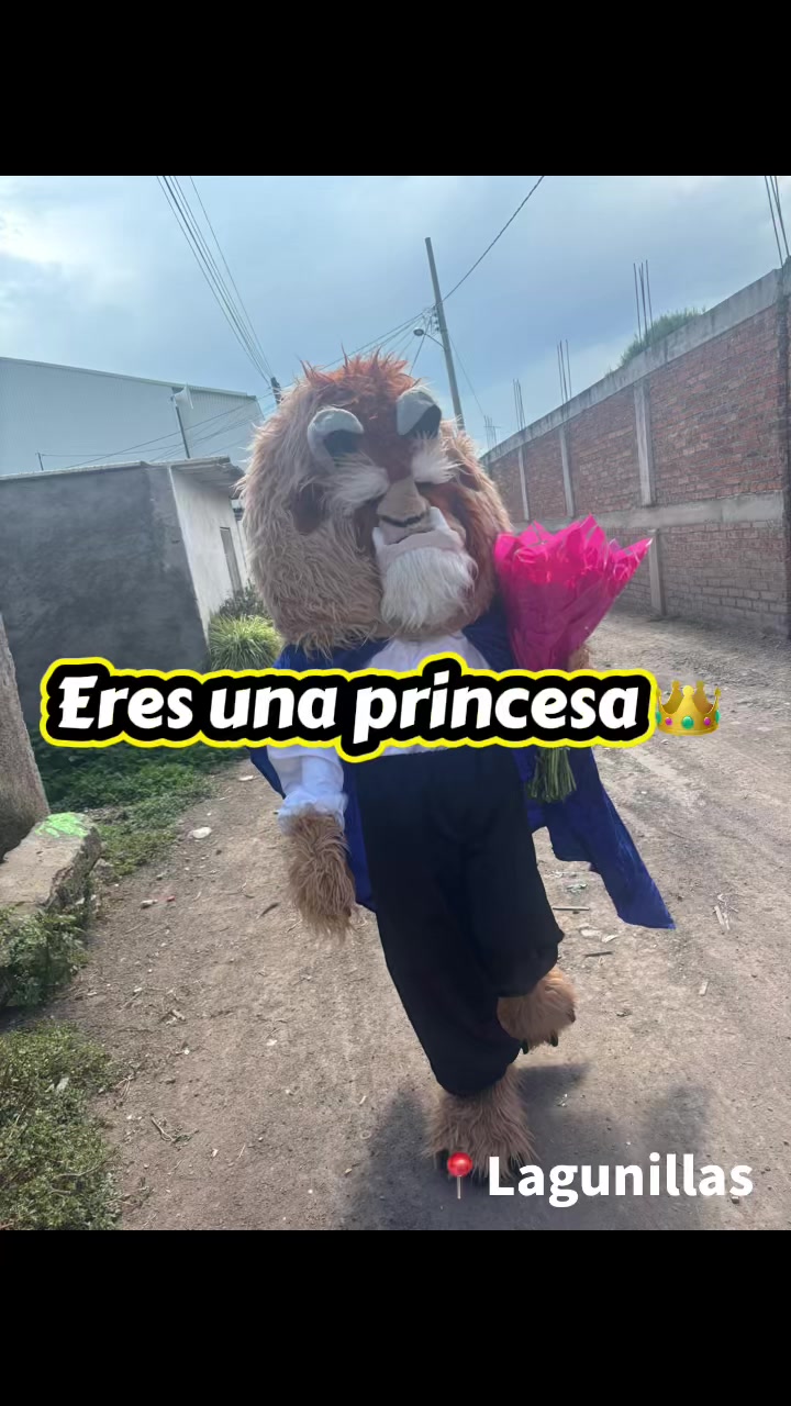 @Cachetitos 🫶