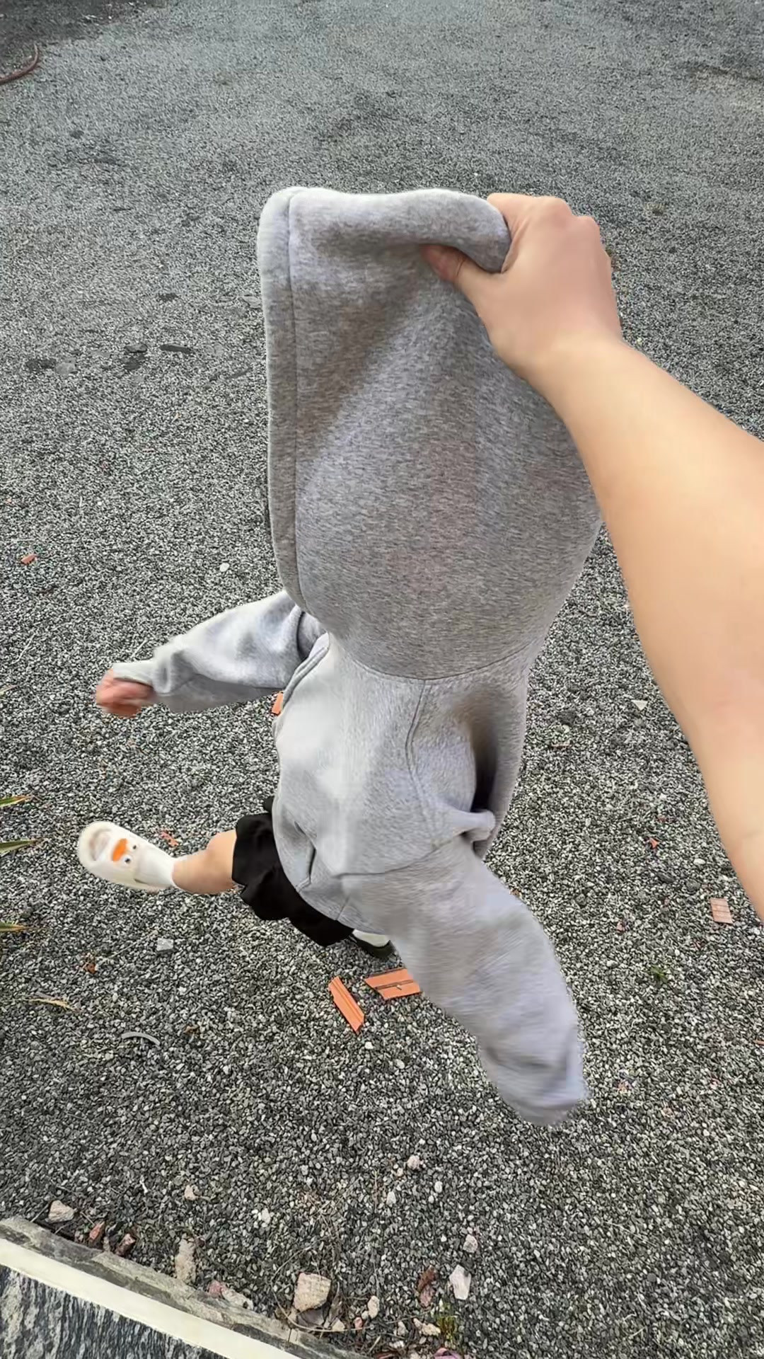 @R&ocirc; v&agrave; Vịt