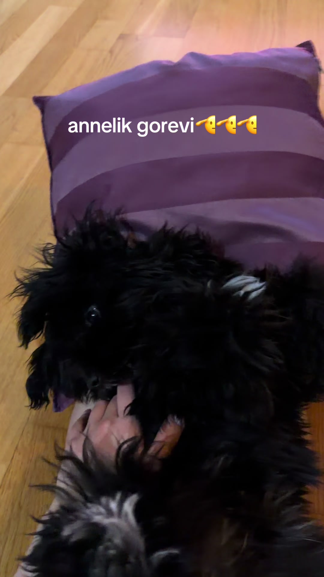 @elif🤍