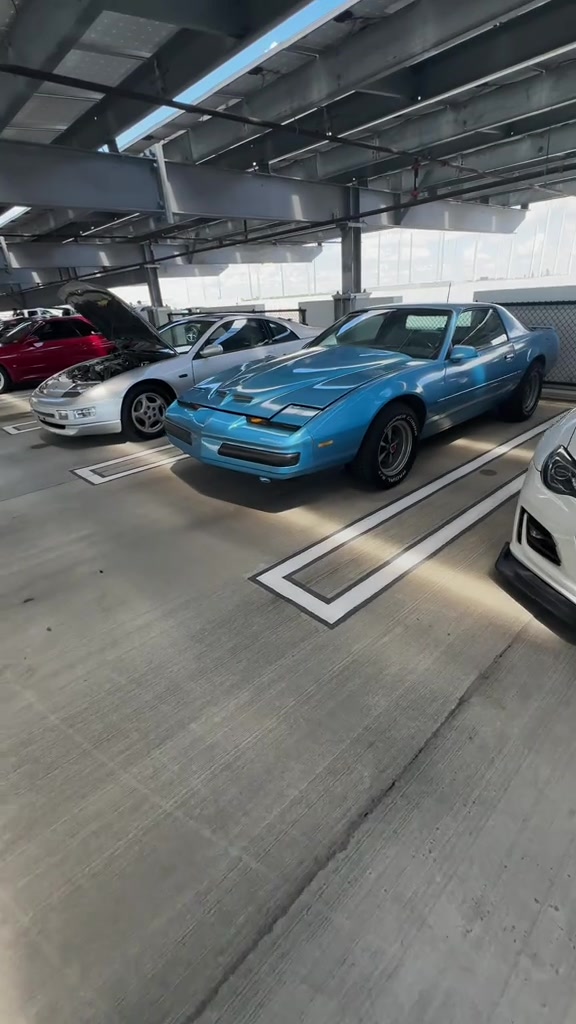 @Biscayne Supercars