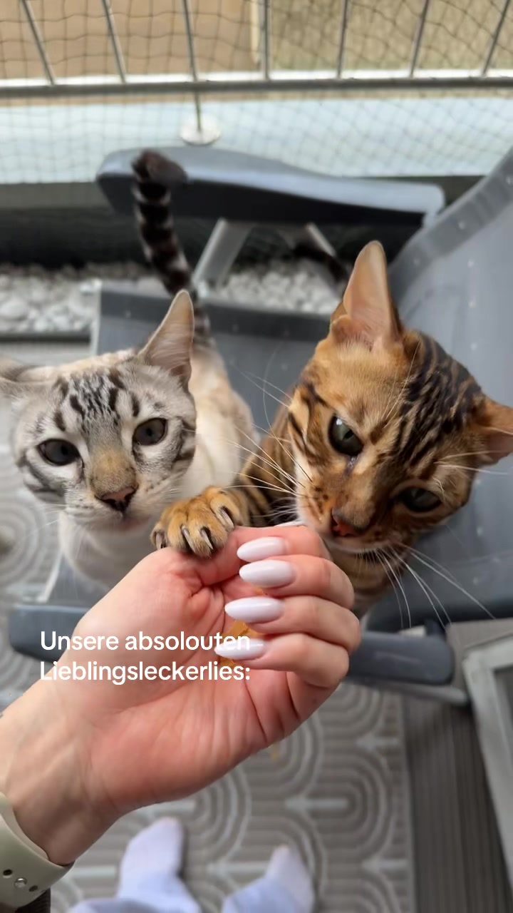 @ALINA 🐆🤎