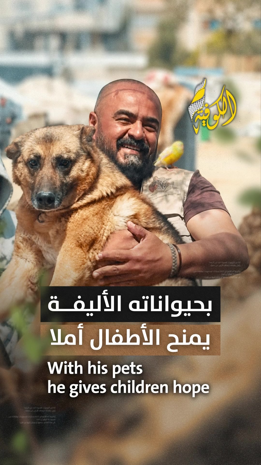 @Alkofiya Tv