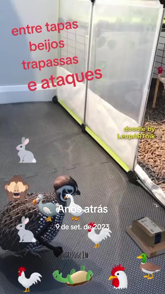 @Paula de Paula