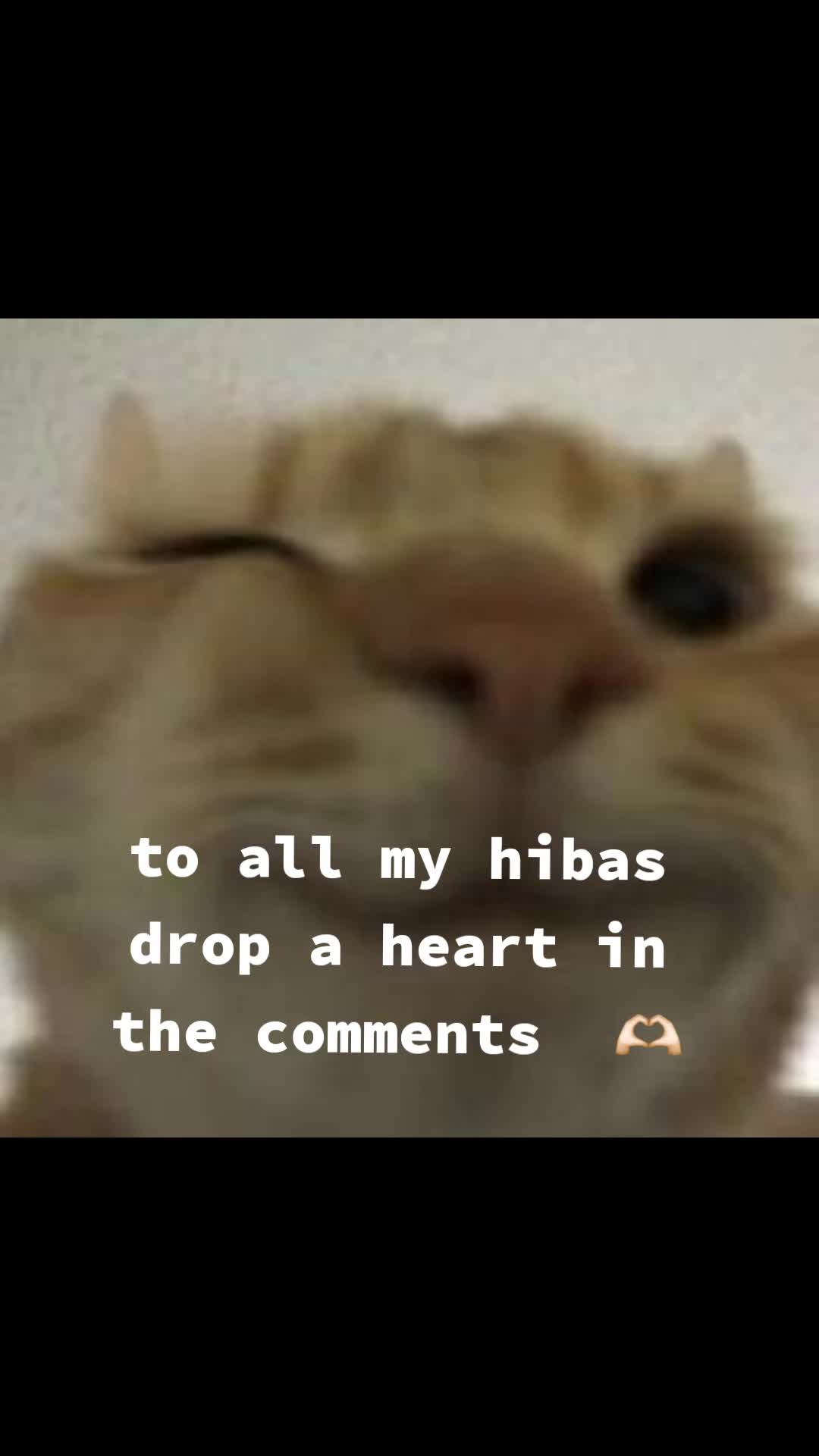 @i love heebaa🥹