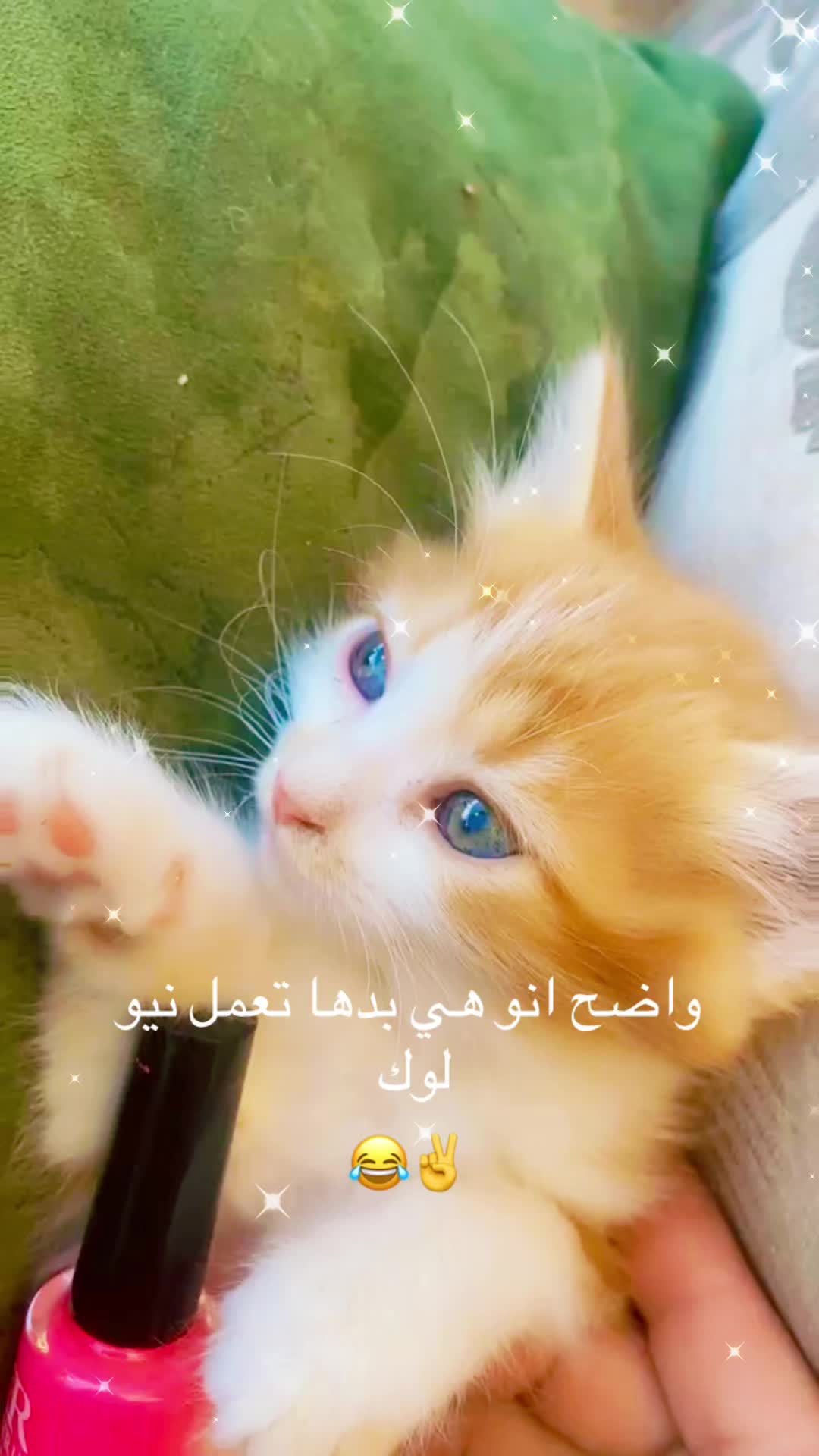 @توته ملتوته🍓☺️✌️