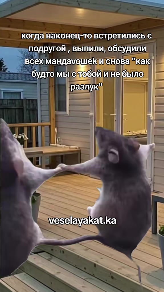@веселая Катька