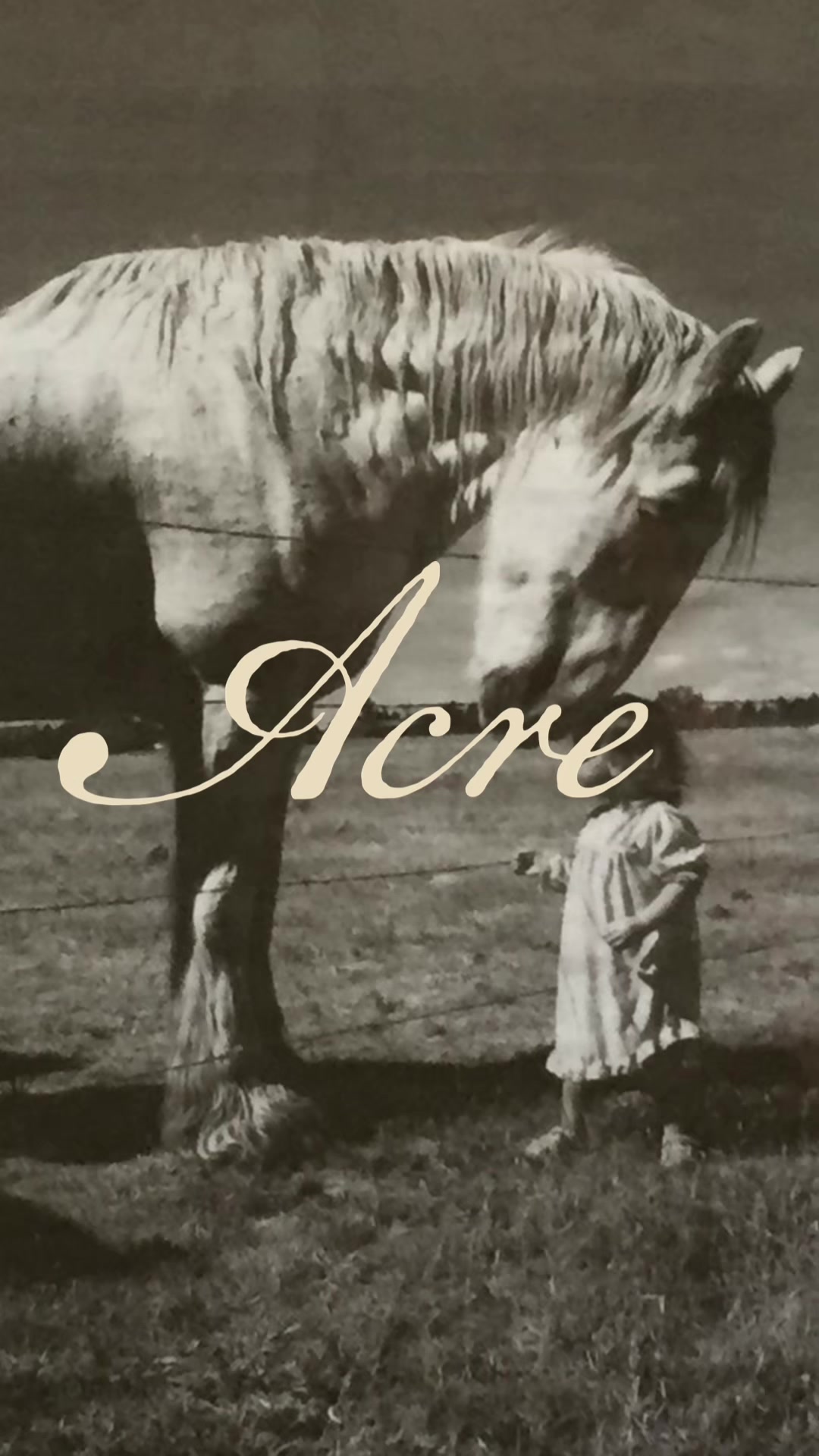 @acre_design_studios