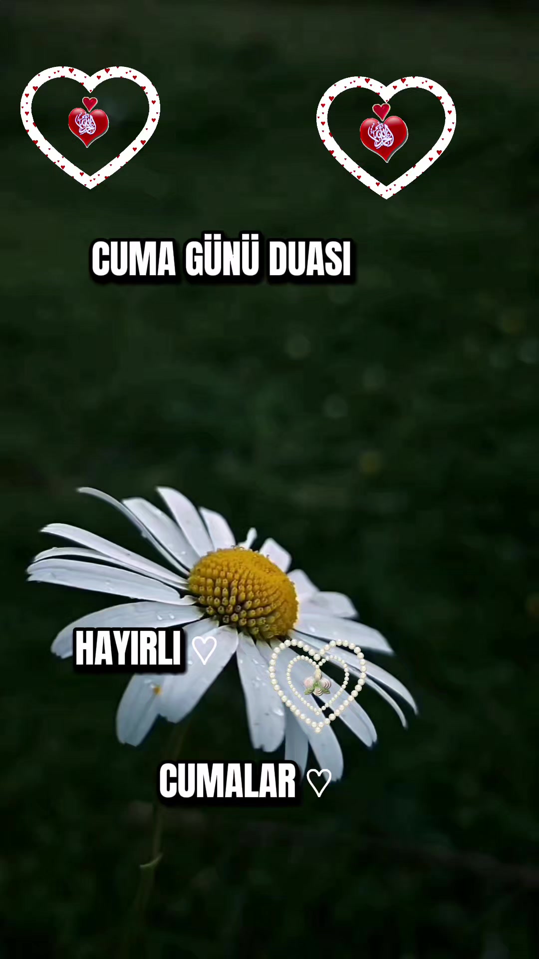 @NAKŞİ💚🕊💚AİLESİ🌹EMİNE🌹