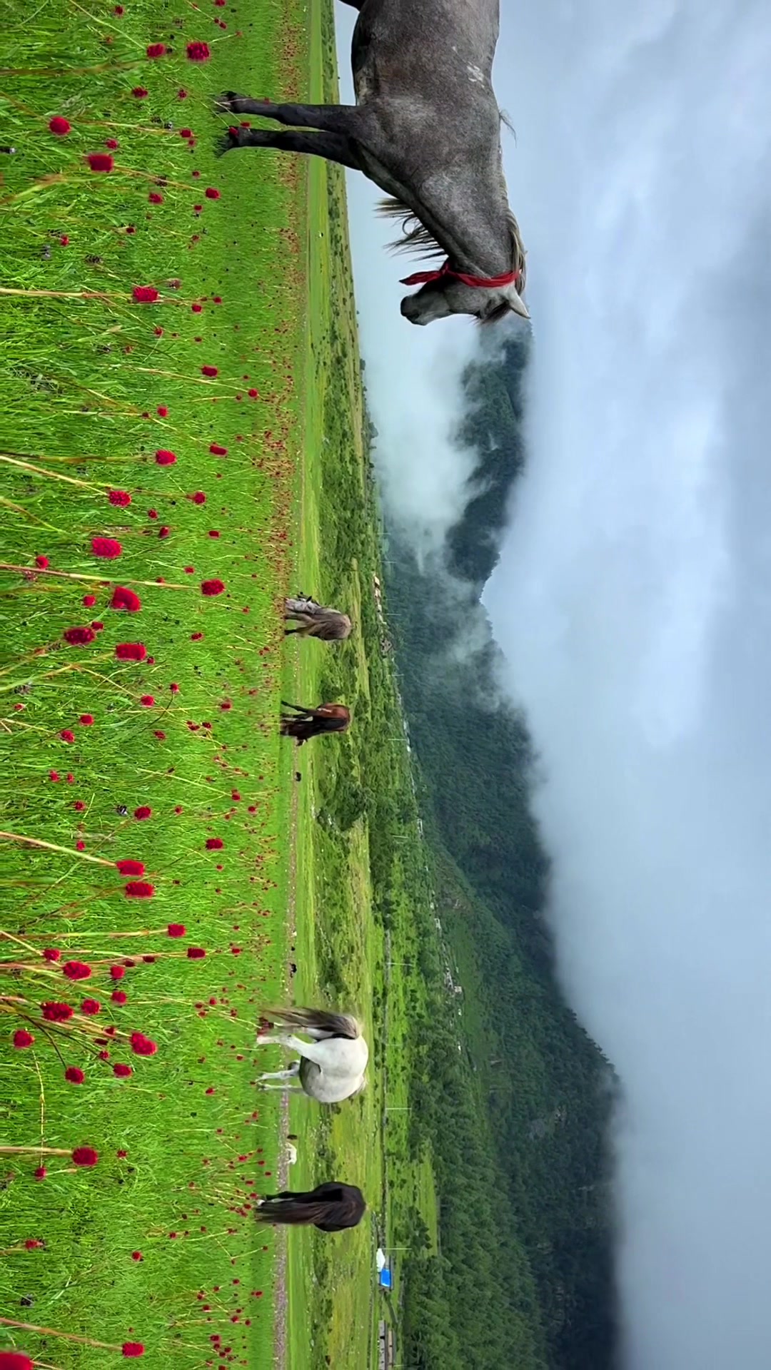 @Shris on Travel