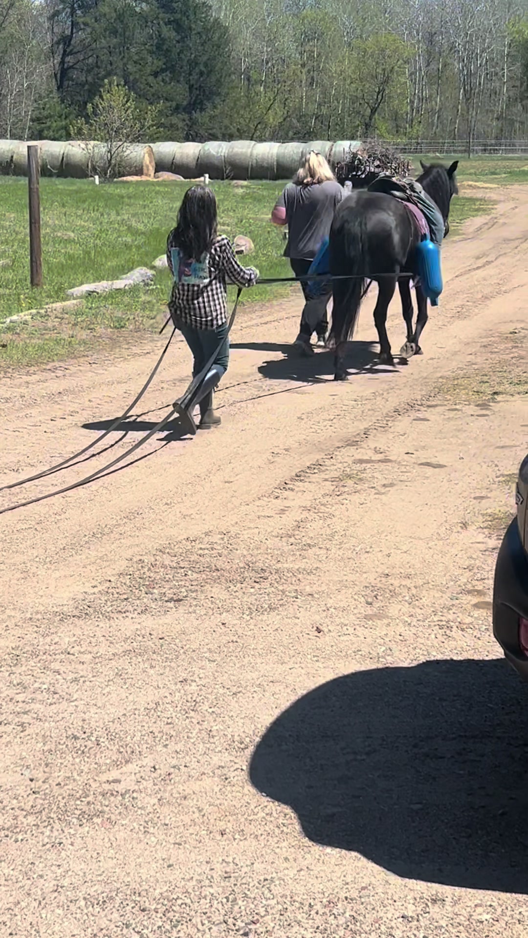 @Spirithorsecentermn