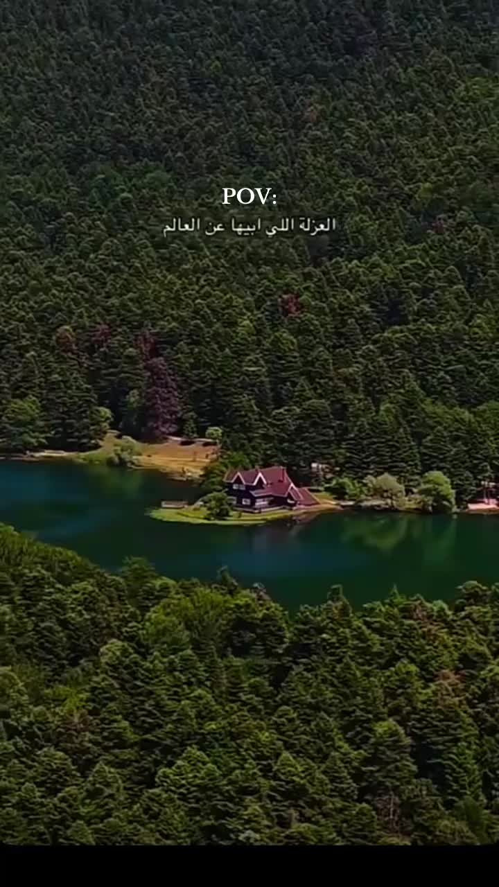 @Bircea_4