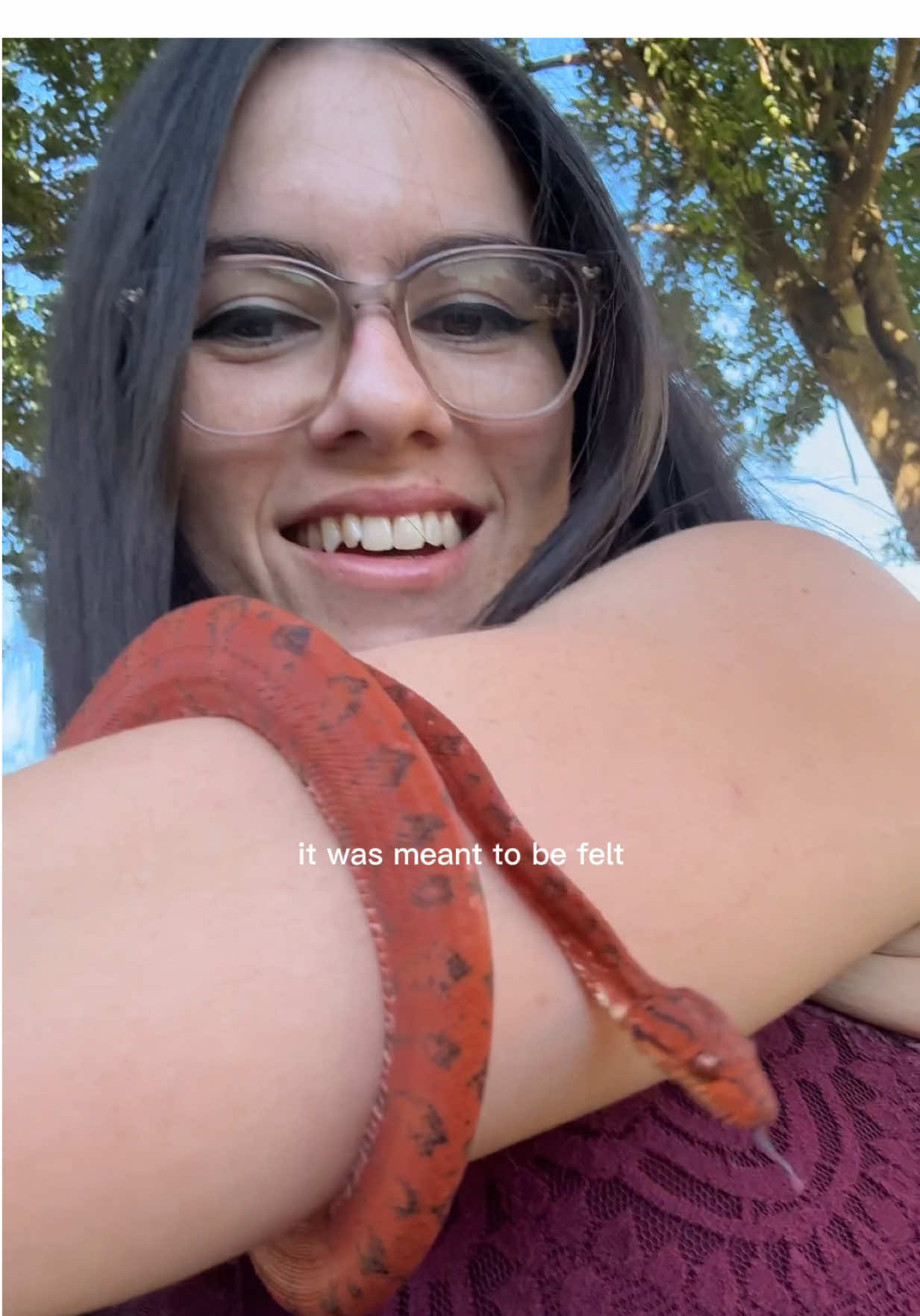 @carpe.diem.serpents
