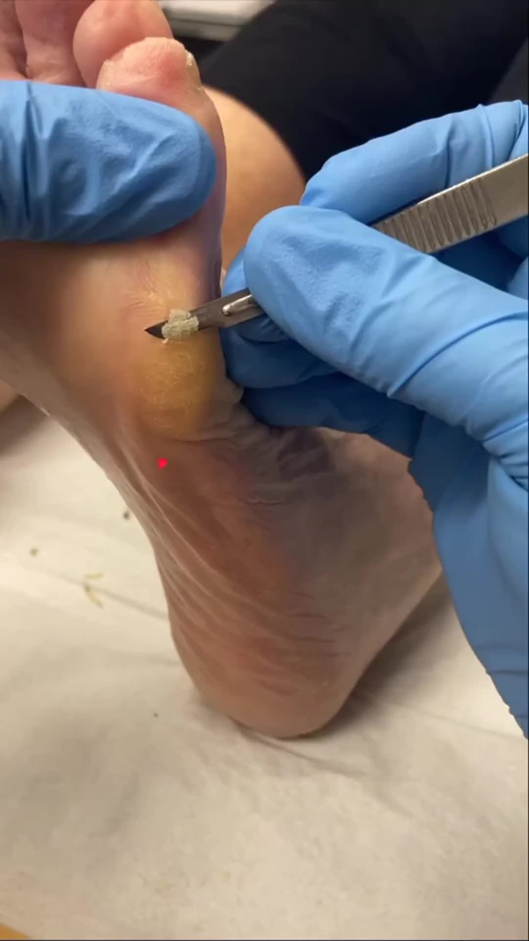 @ergonx