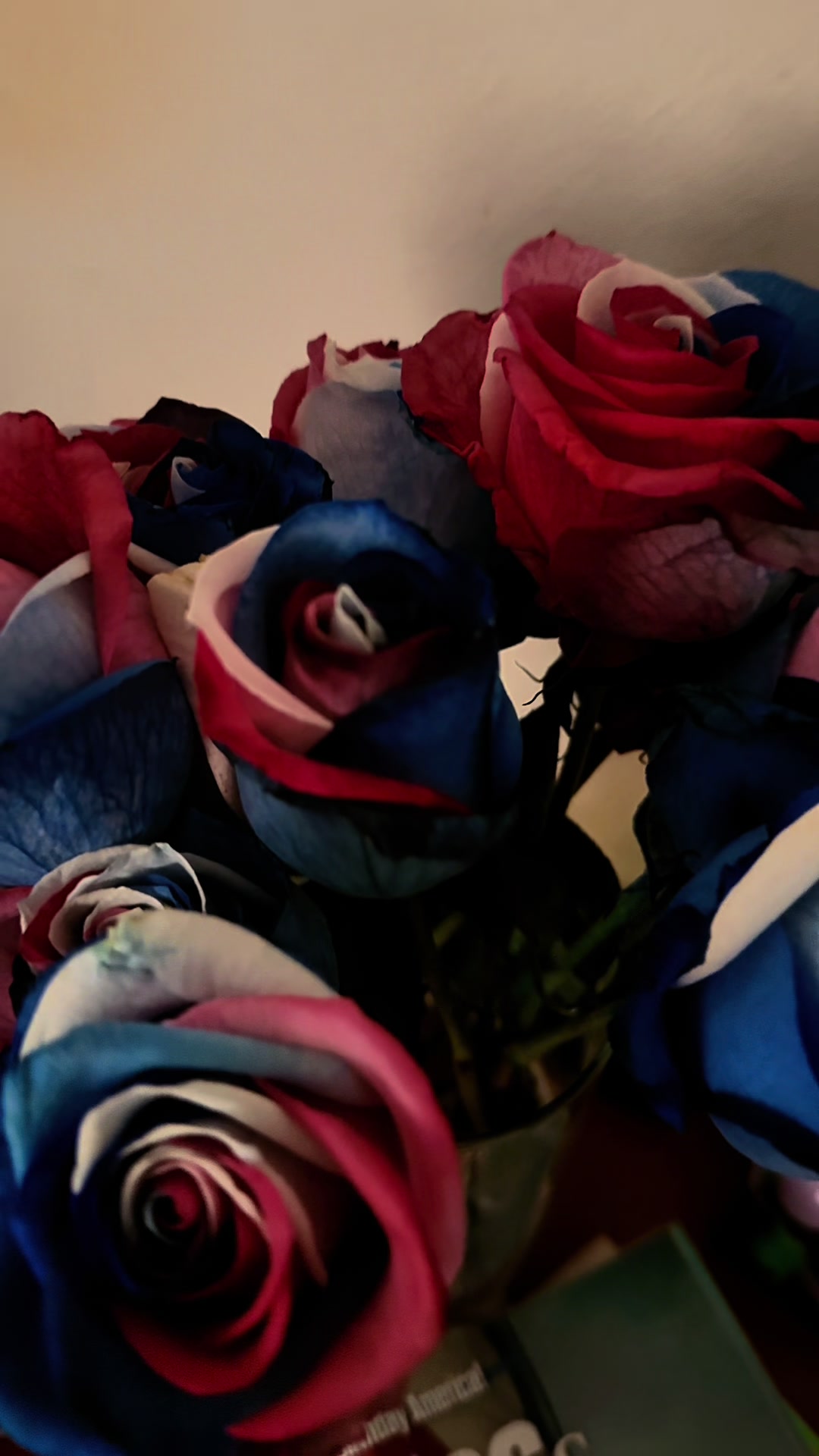 @Jonna Rose