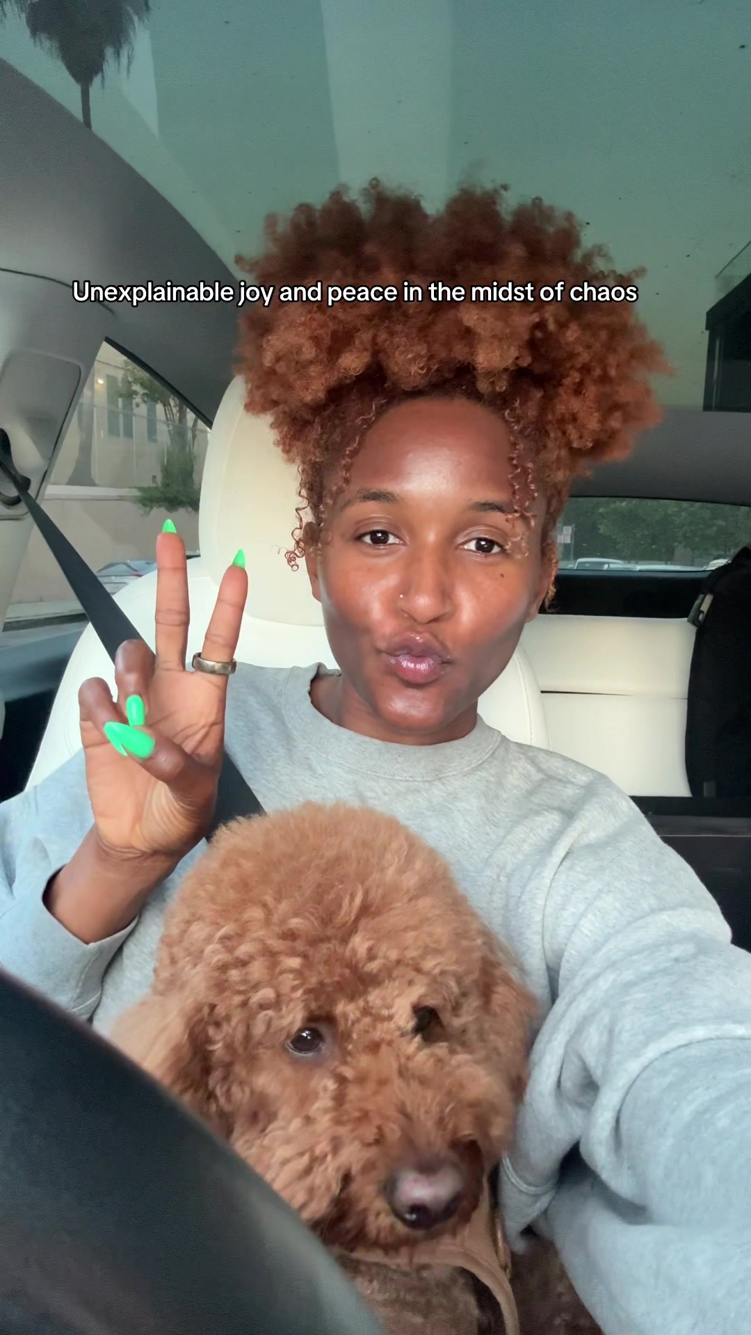 @Mocha | Mini Goldendoodle ๐พ