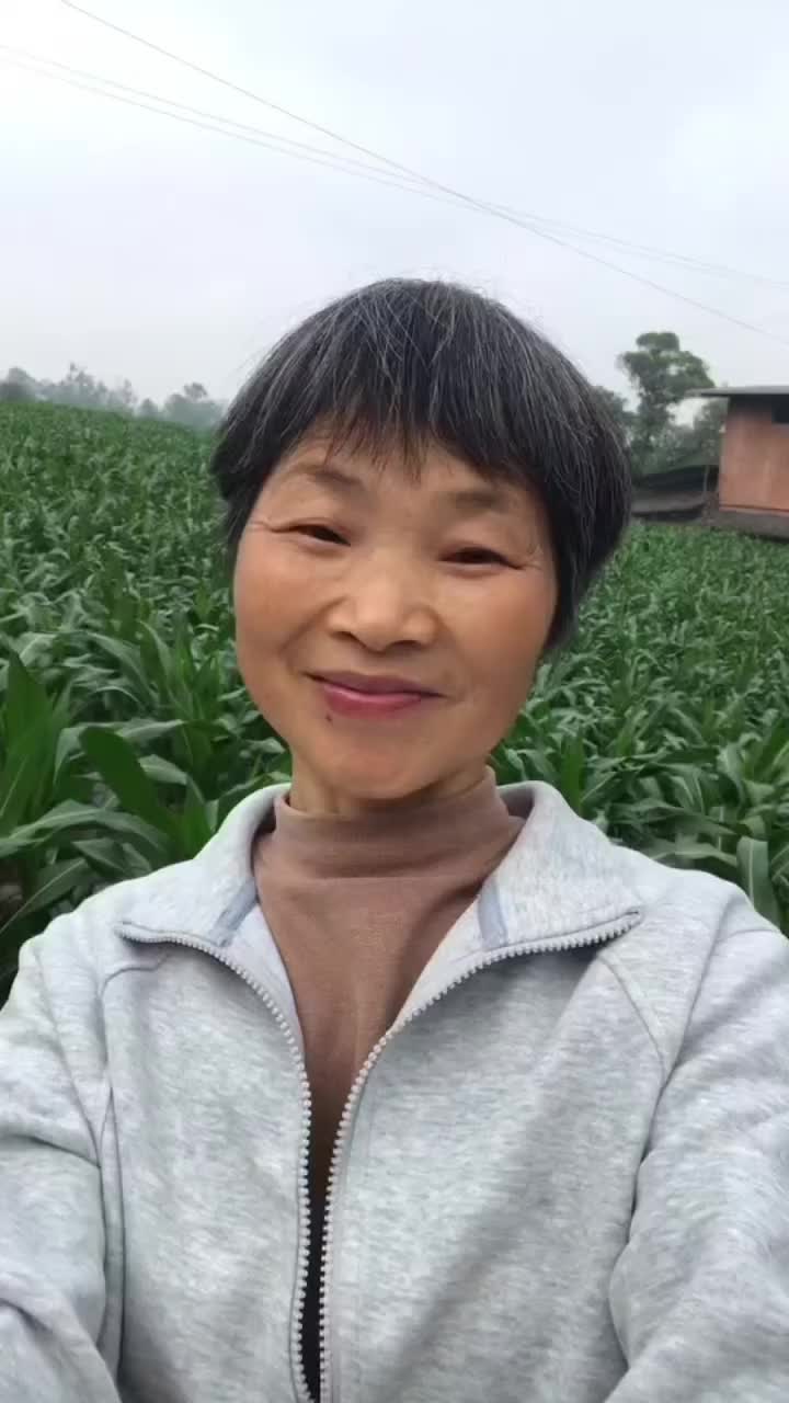 @grandma yan