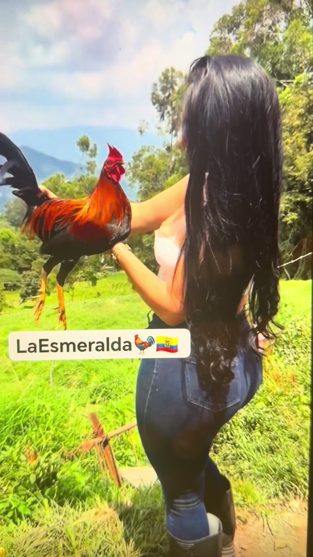 @LOCOMANIA73