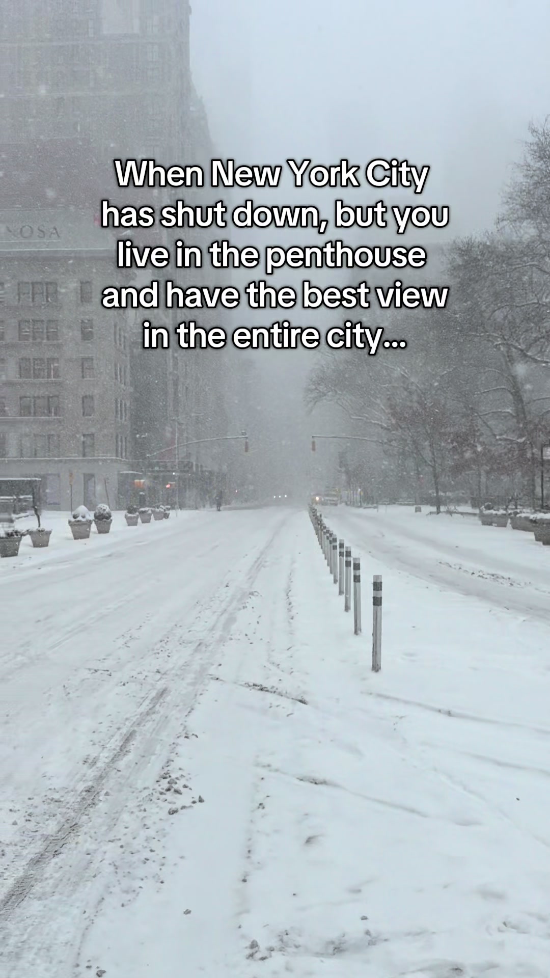 @NYC High Life