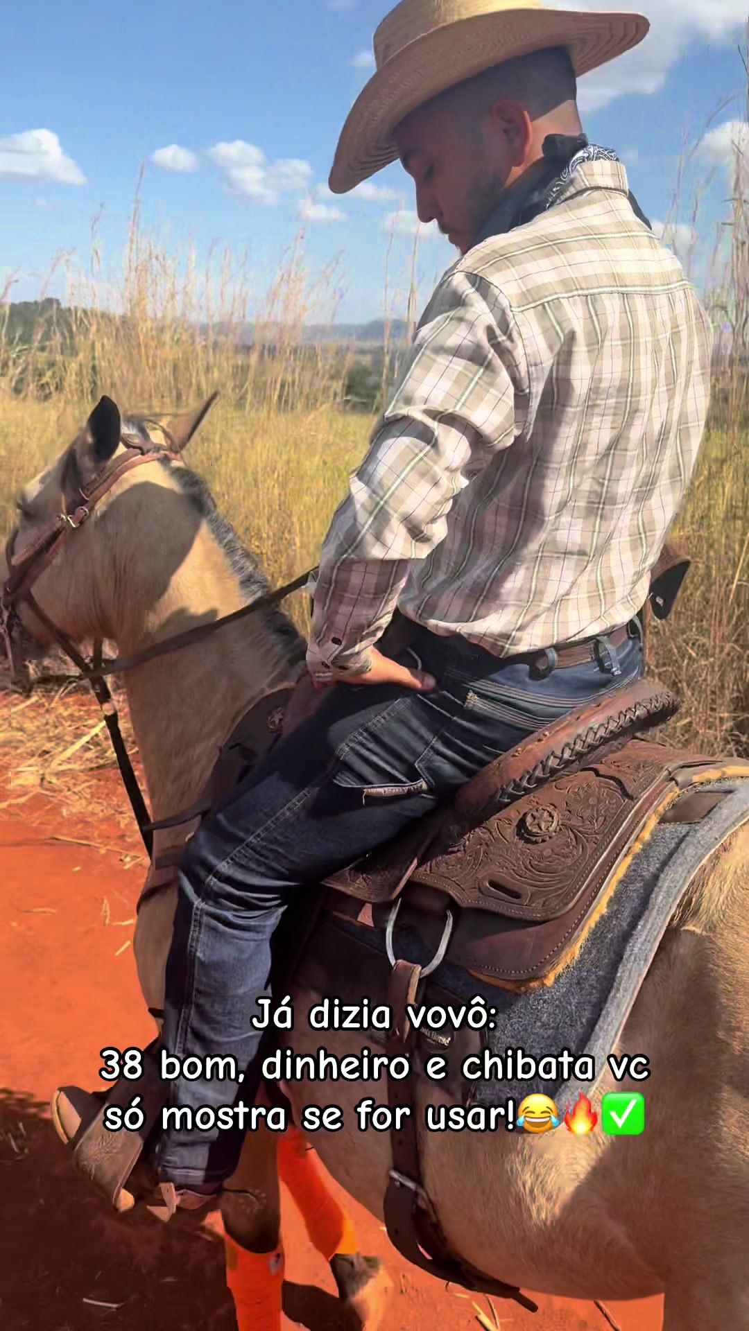 @mateusandrade9837