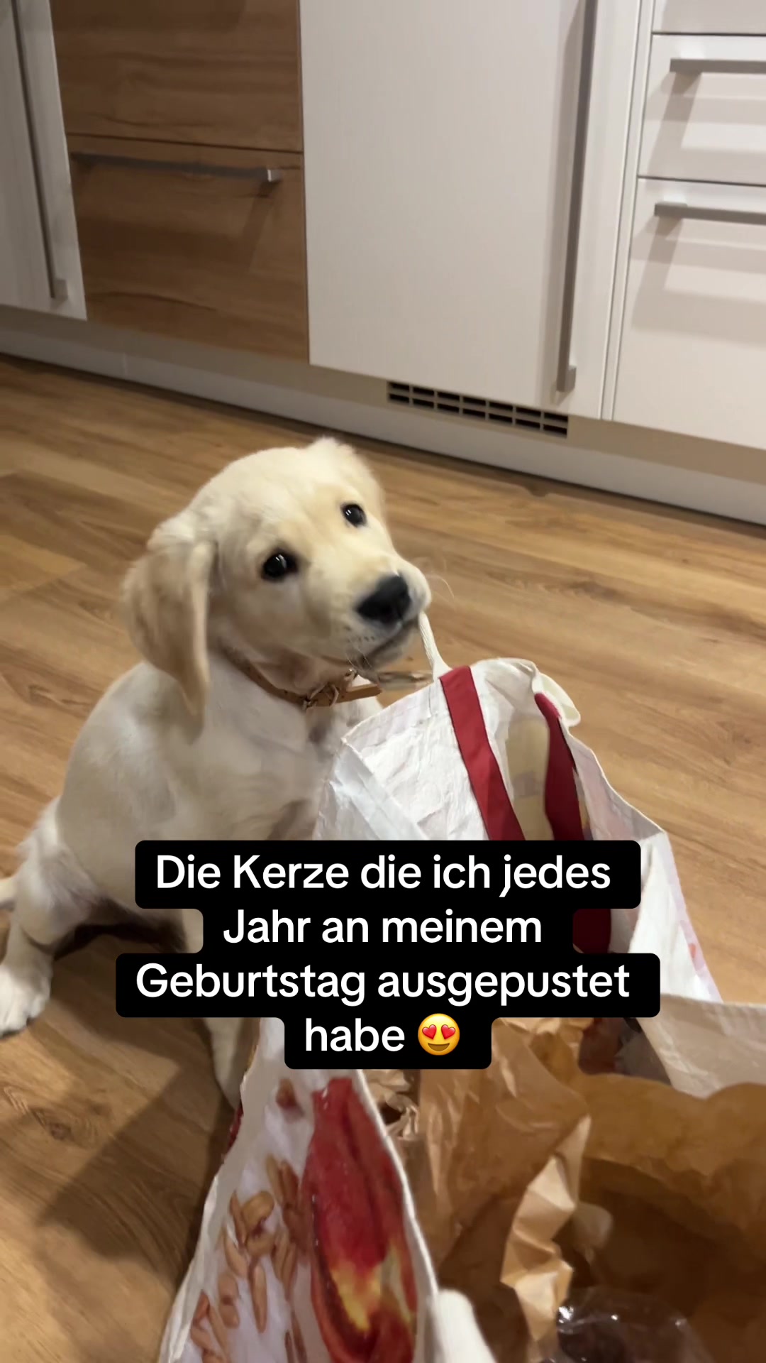 @Adonis und Amor 💘