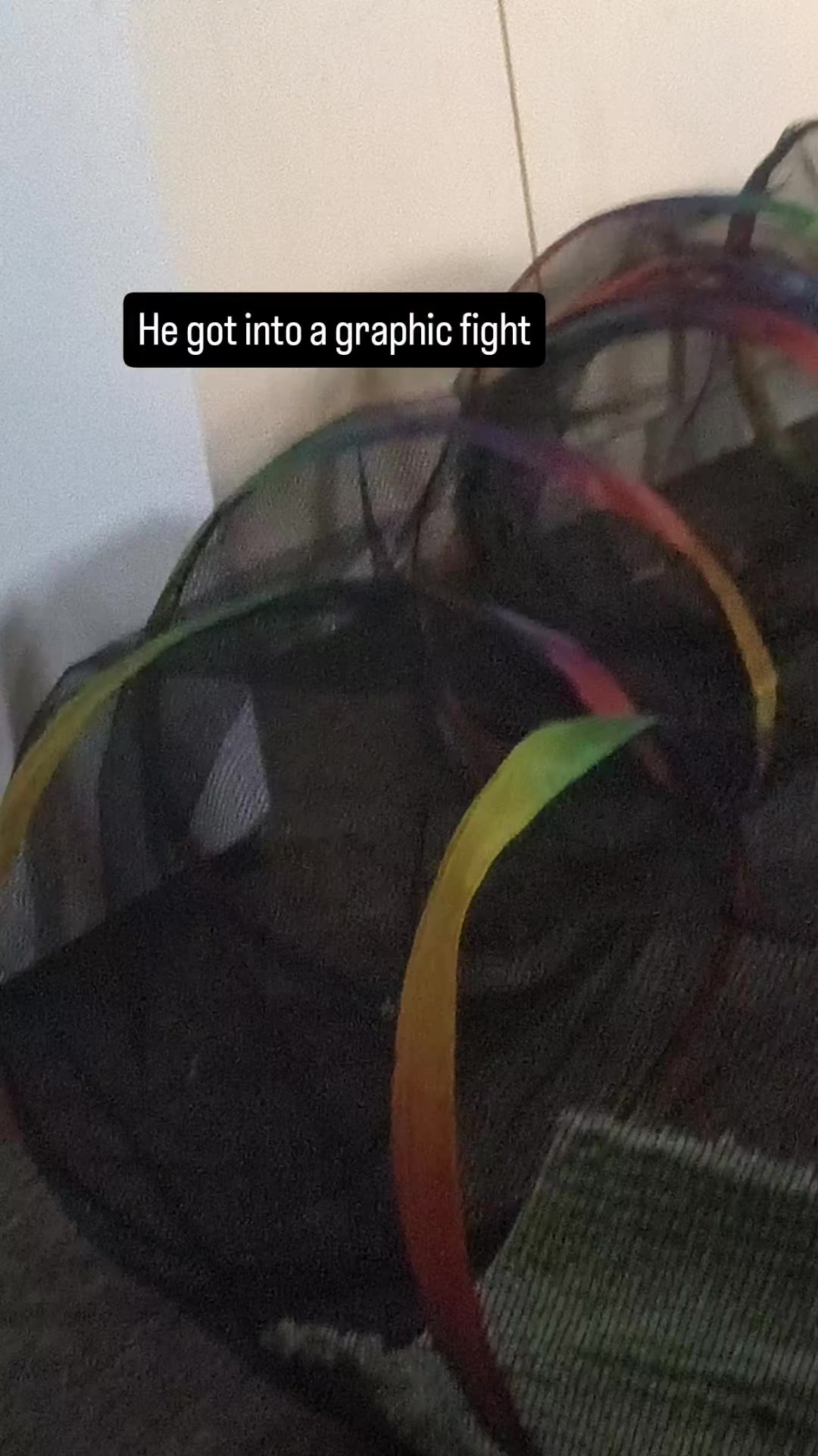 @Liahh