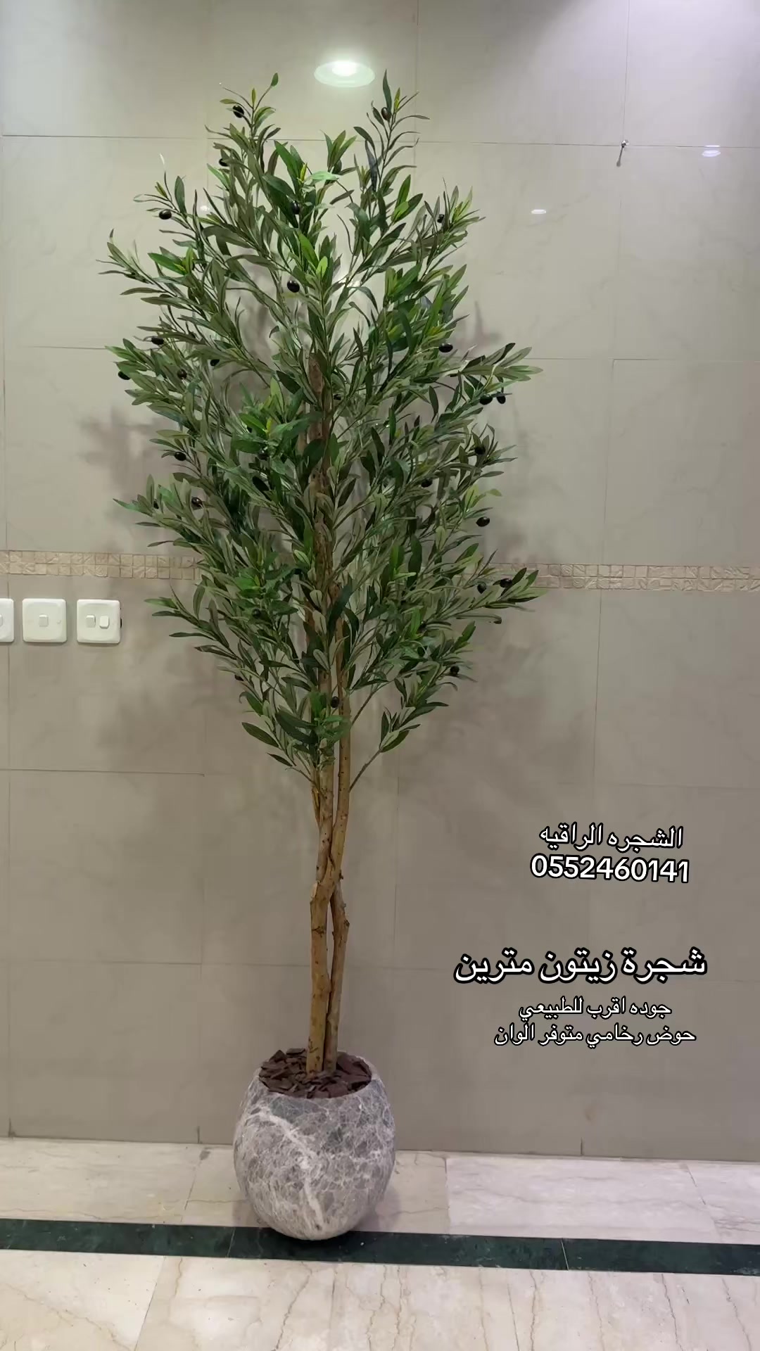 @الشجره الراقيه(زهور المملكه)🌴