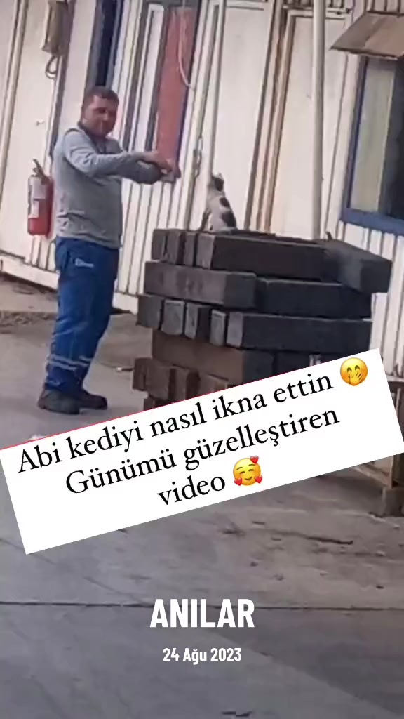 @yılmaz &Ccedil;etinkaya