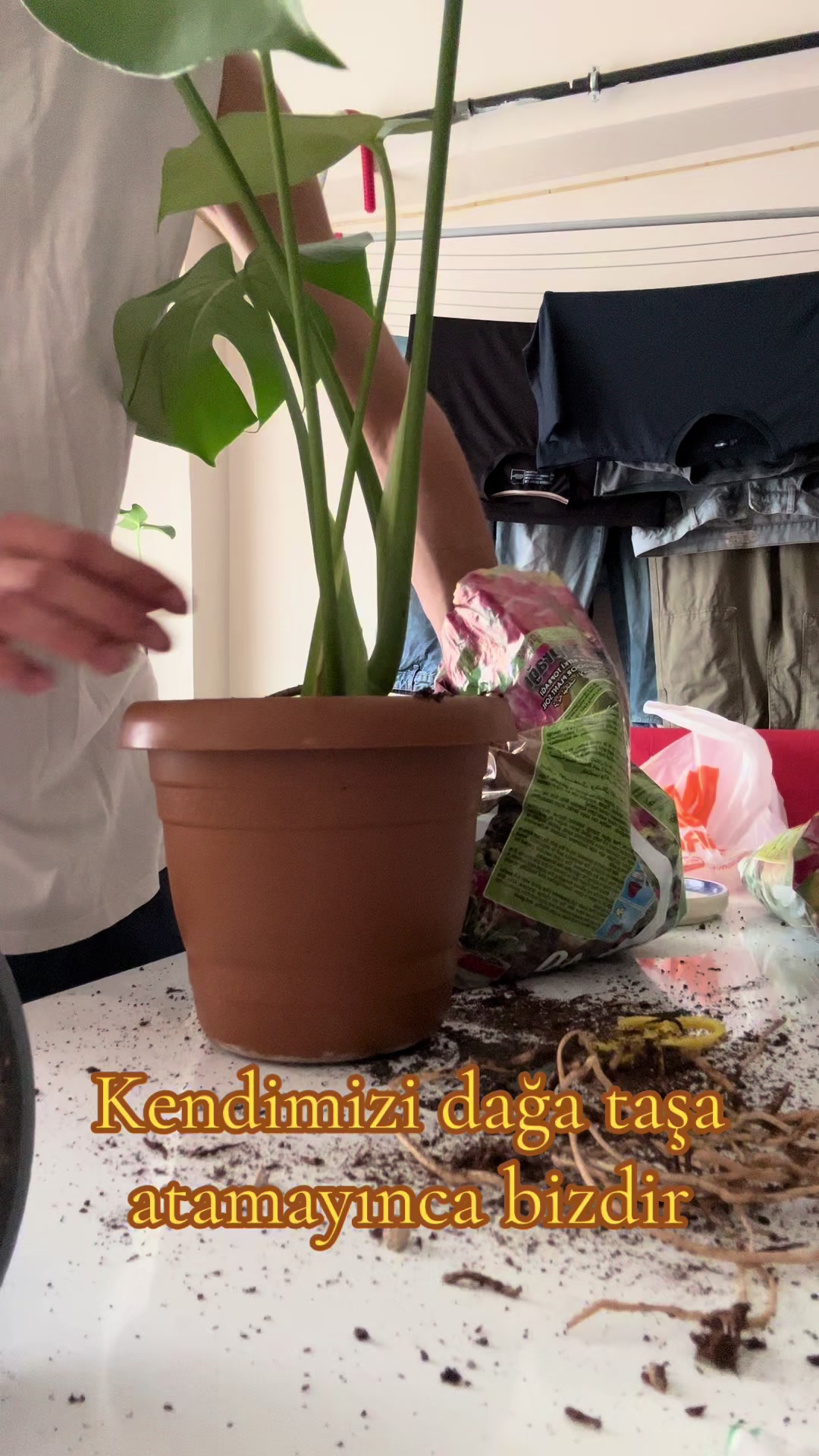 @Uğur
