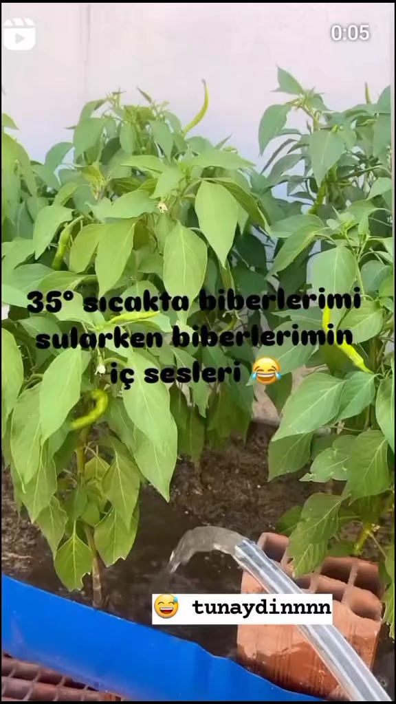 @🖤☆♡Ömür♡☆🖤