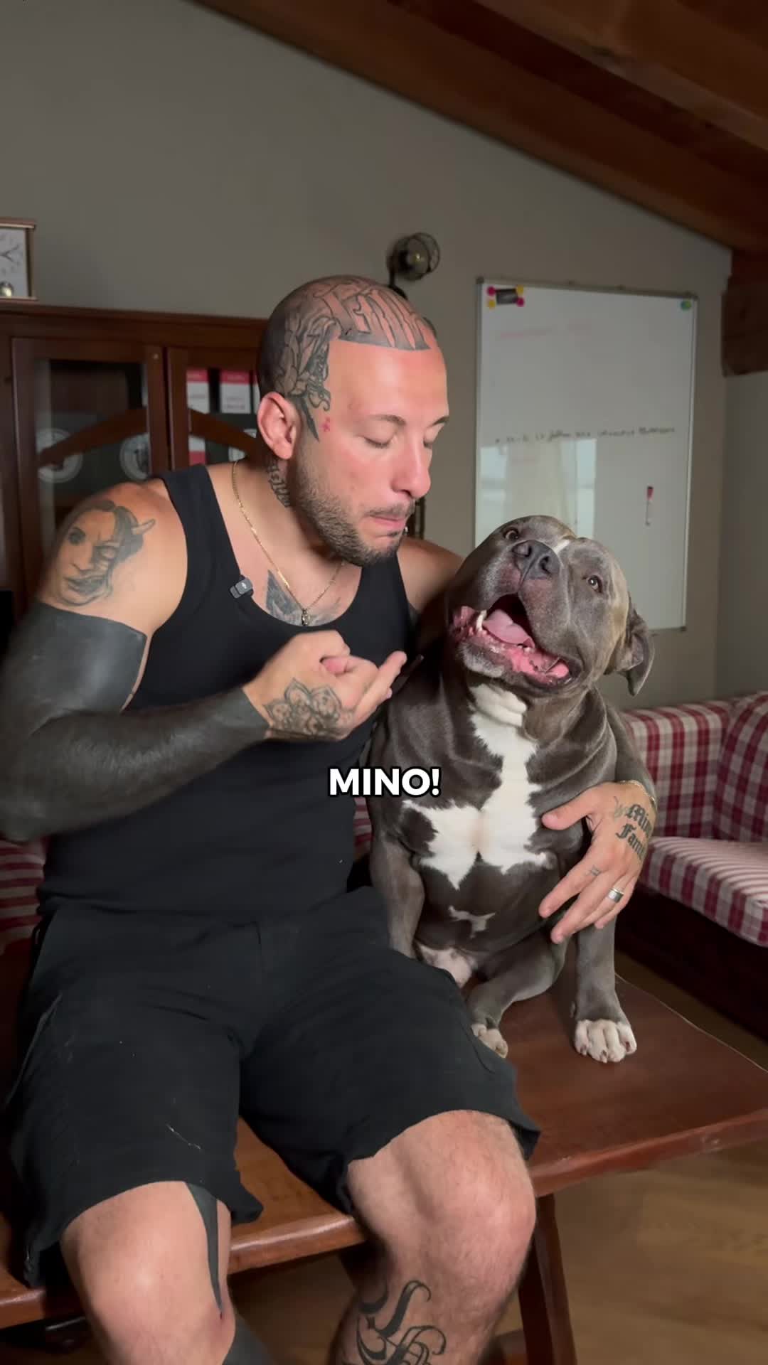 @MASSI e MINO
