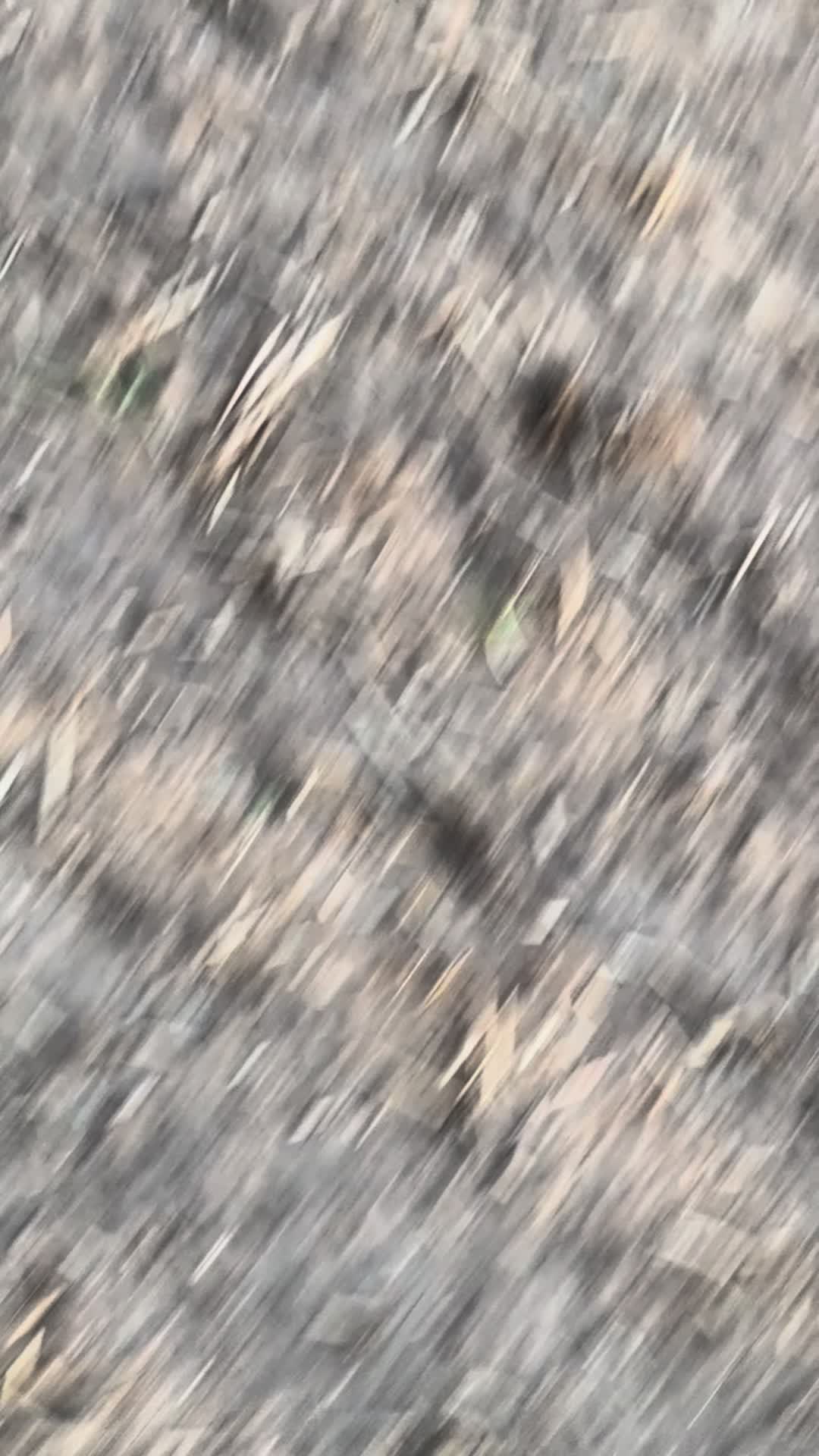 @alxx.hxz