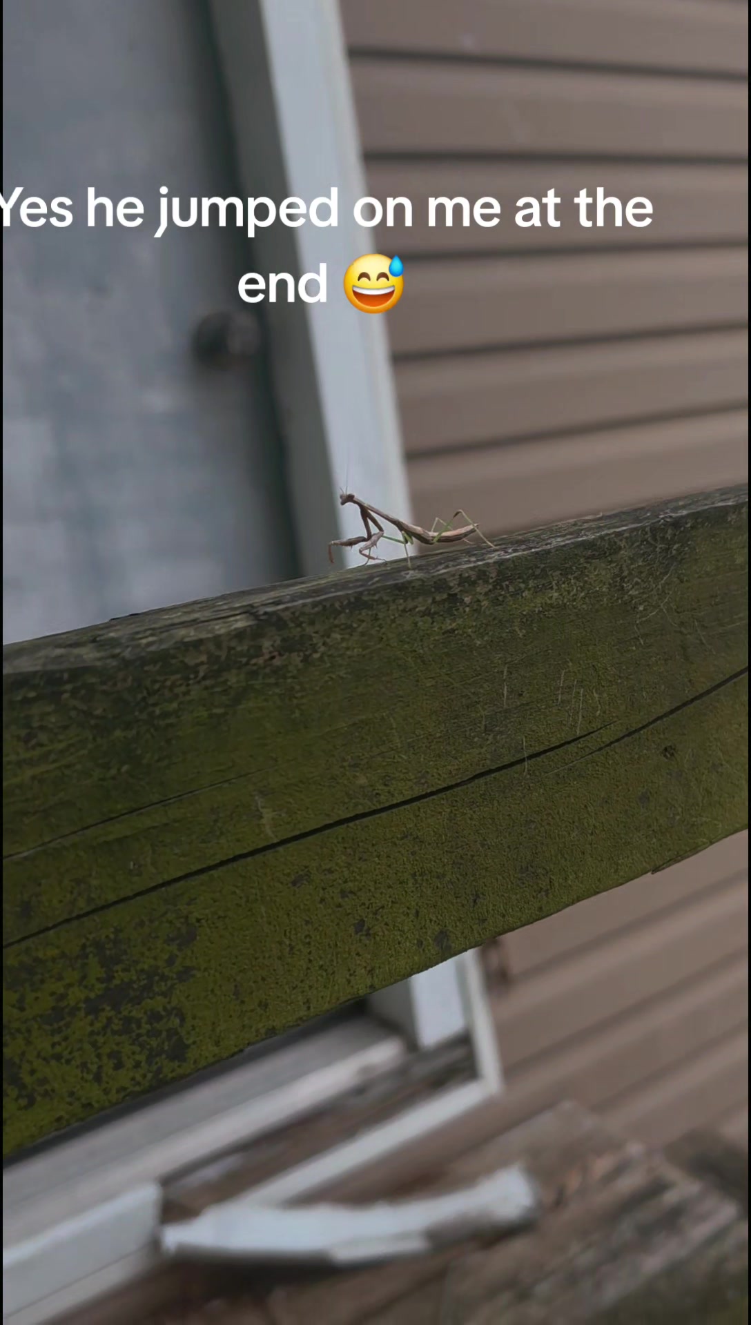 @CrabbyGabby