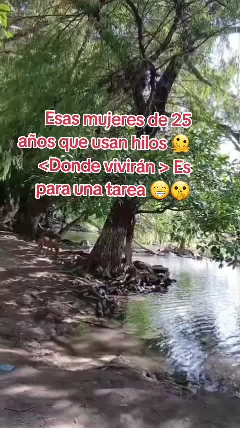 @Gabrielito 502